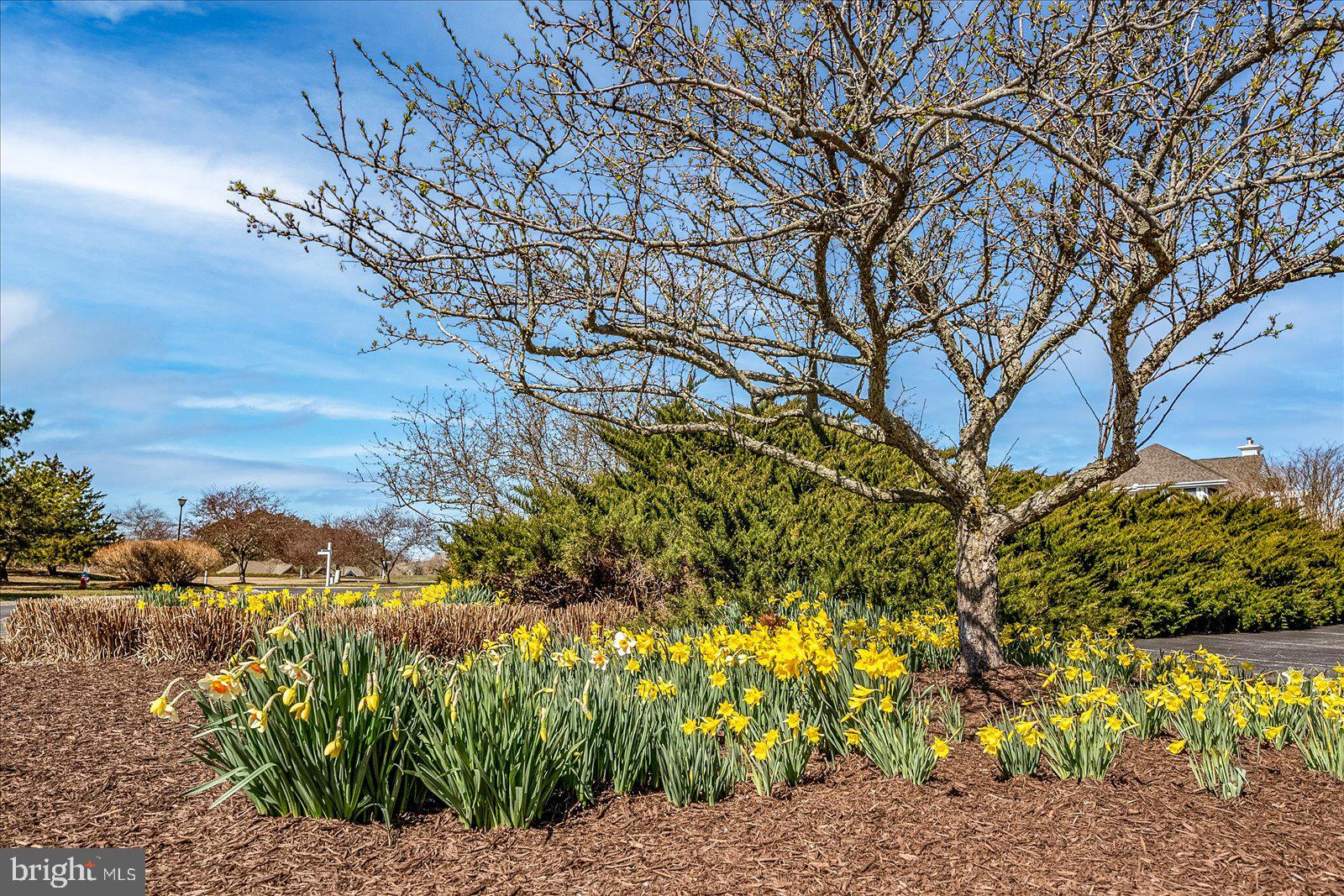 BETHANY BAY - Residential