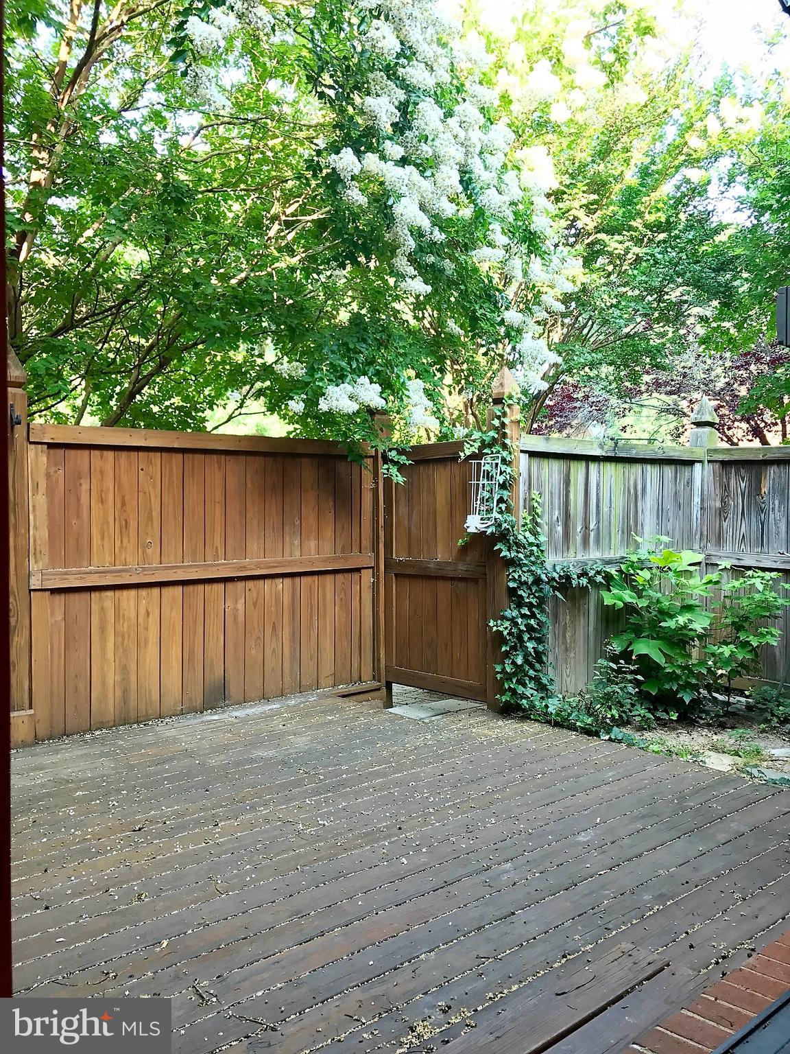 THE ANNEX - Residential Lease