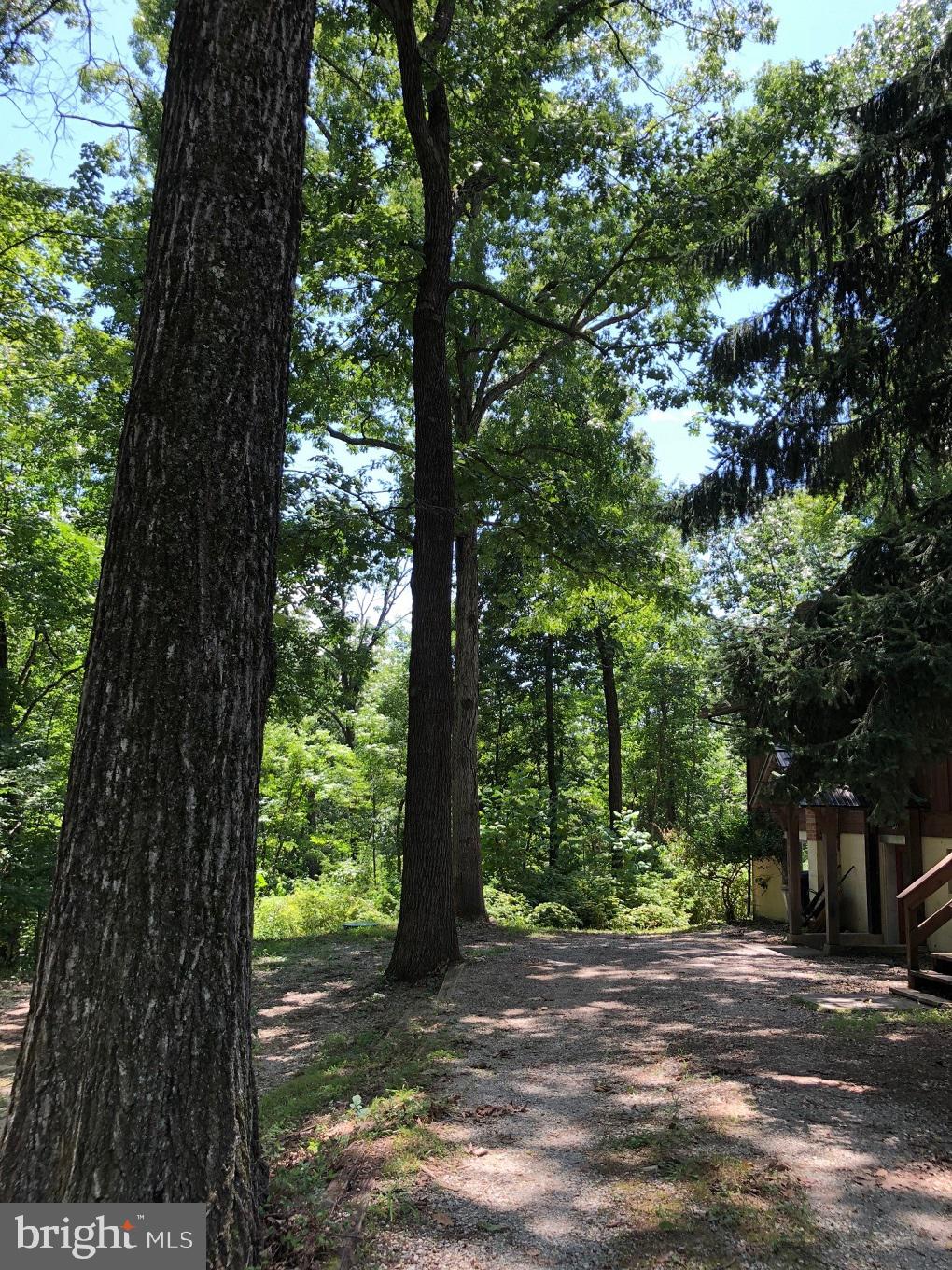 KEYES FERRY ACRES - Residential Lease