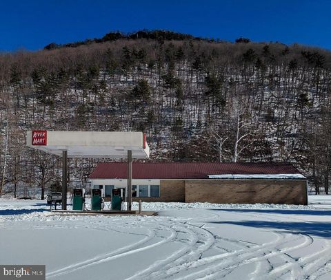 16488 MOUNTAINEER DRIVE RIVERTON WV 26814