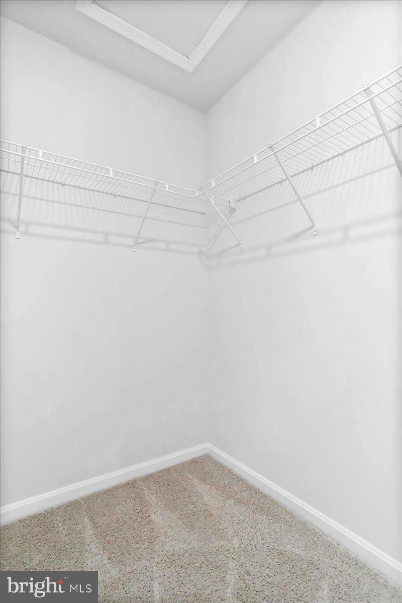 MAGNOLIA SPRINGS - Residential