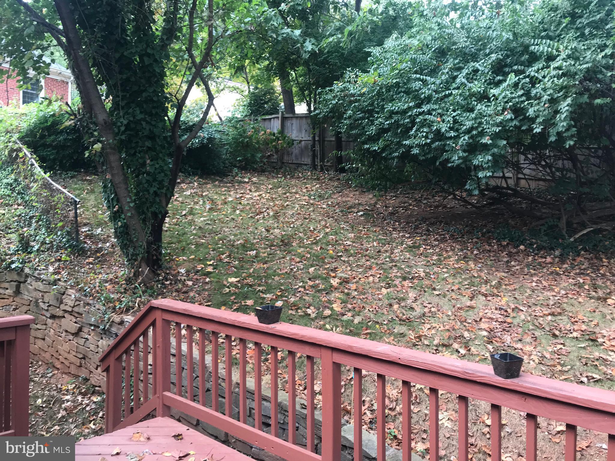 MAPLEWOOD - Residential Lease