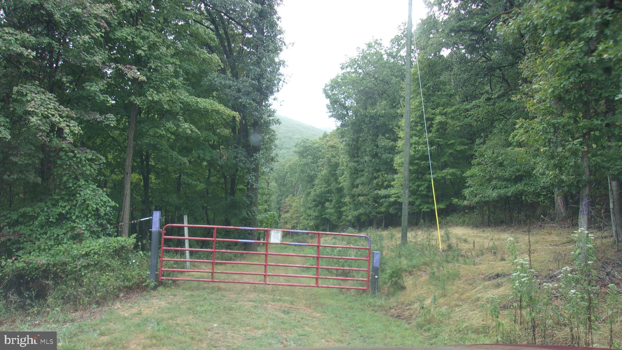 OH YEAH!!! 50 ACRES OF ABSOLUTELY WONDERFUL HUNTING LAND! IF YOU ARE INTERESTED IN BUILDING A HOME THERE IS A NICE AREA FOR THAT TOO!! THERE ARE 2 SPRINGS ON THE PROPERTY - A SMALL WATERFALL - A HUNTING STAND (REALLY NICE) OH! DID I MENTION A 2012 RV (CONVEYS IN AS-IS CONDITION CURRENTLY EVERYTHING WORKS) WITH ELECTRIC AND A 1,000 GALLON HOLD TANK FOR WATER - 2 RIGHT OF WAYS ONTO PROPERTY - ONE BY THE LUMBER COMPANY AND ONE IN THE PINEPOINTE SUBDIVISION - (THERE IS A $200 ANNUAL ROAD MAINTENANCE FEE IN THE DEED FOR THIS R/W)