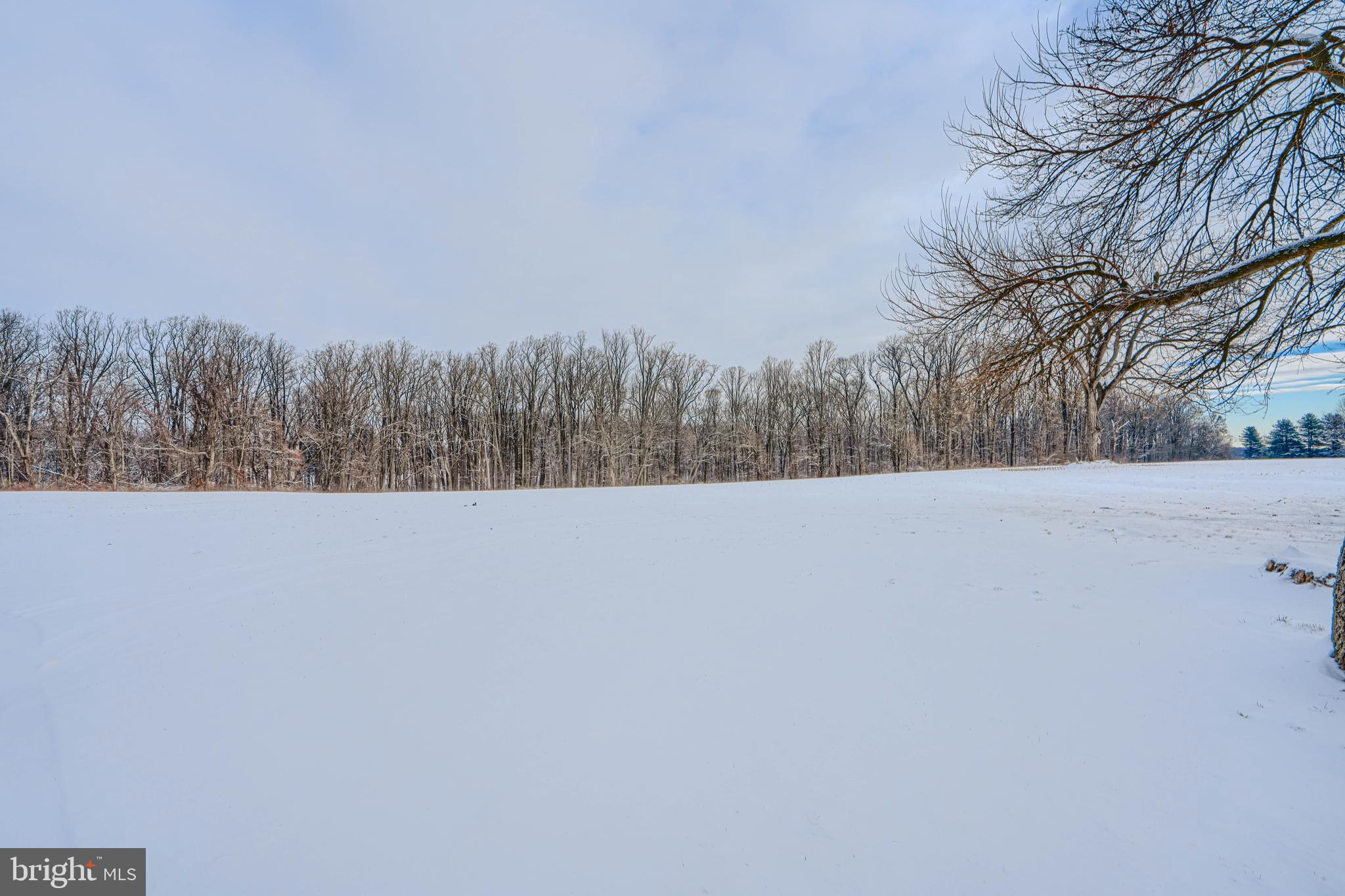 MY LADY'S MANOR - Residential