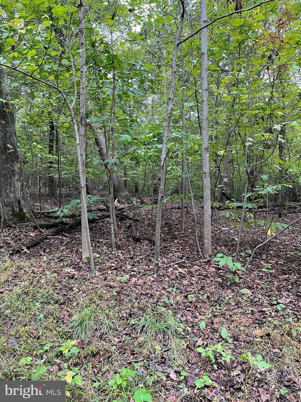 CACAPON RIVER MEADOWS - Land