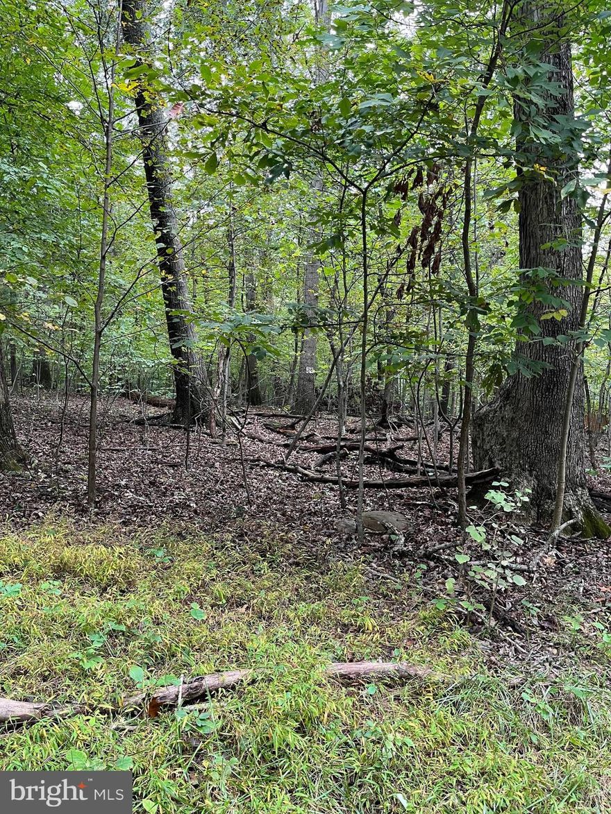 2.54 Wooded Acres in Cacapon River Meadows, just 6 miles from downtown Berkeley Springs.   Community access to the Cacapon River.  Perfect location to build your weekend getaway!