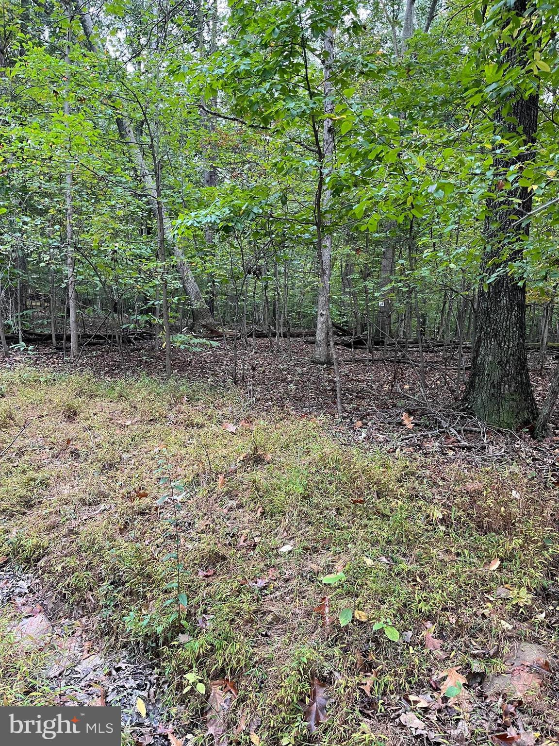 CACAPON RIVER MEADOWS - Land