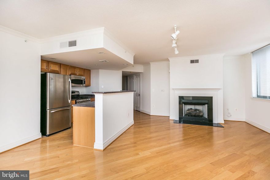 Water view corner unit w/ balcony! Building has 10th floor outdoor pool, game room, conference cntr, Rent incl PARKING, water, sewer & gas, W/D in unit. This condo features a fireplace, hardwood floors, a master bedroom with walk in closet and en-suite bathroom w/ sep tub and shower & dual vanity. Gourmet kitchen has maple cabinets, wood floors, SS appliances, and a breakfast bar.