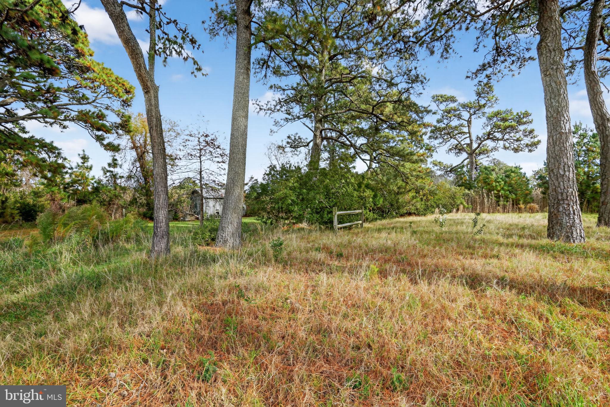 CHINCOTEAGUE - Residential