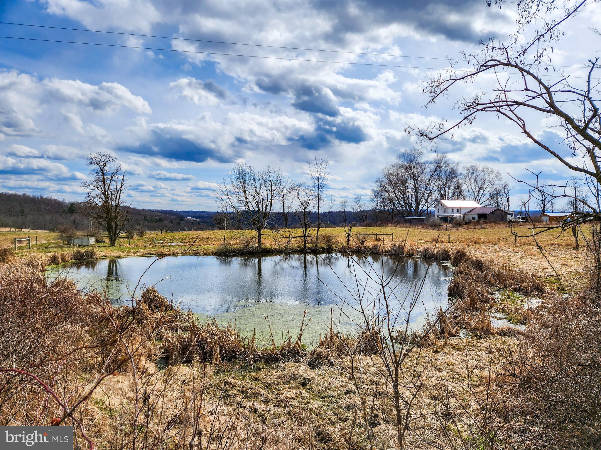 NONE AVAILABLE - Farm