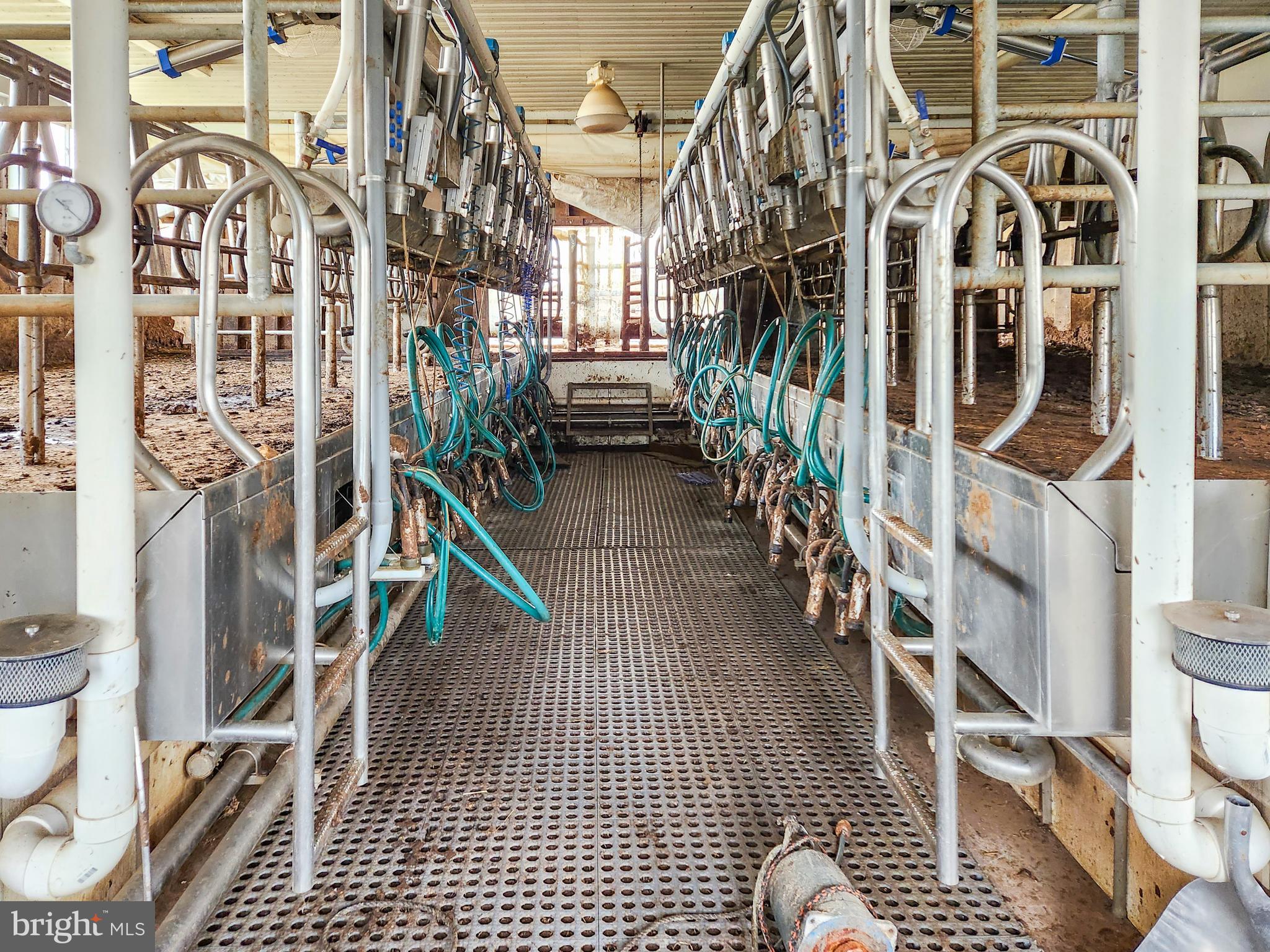 NONE AVAILABLE - Farm