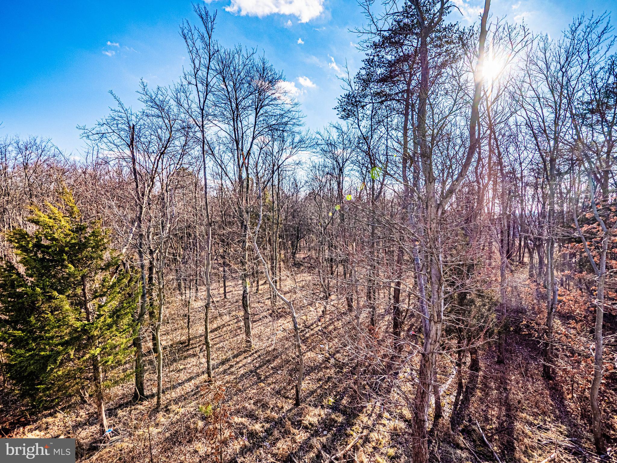 ROSEDALE - Residential