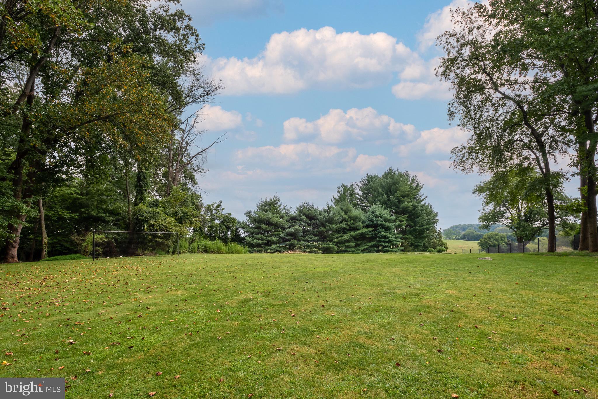 RADNOR HUNT - Residential