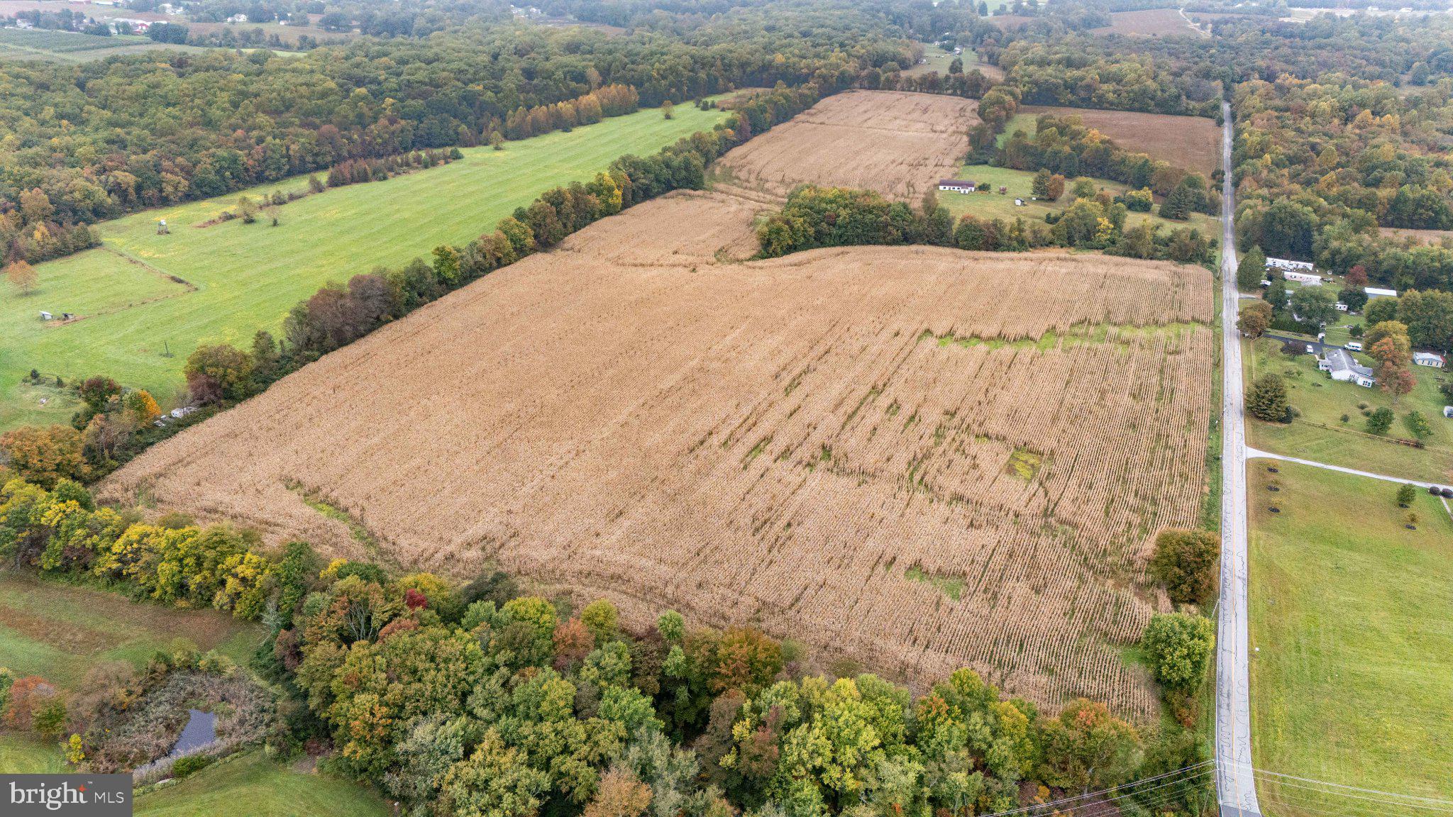 113 CATSWAMP ROAD