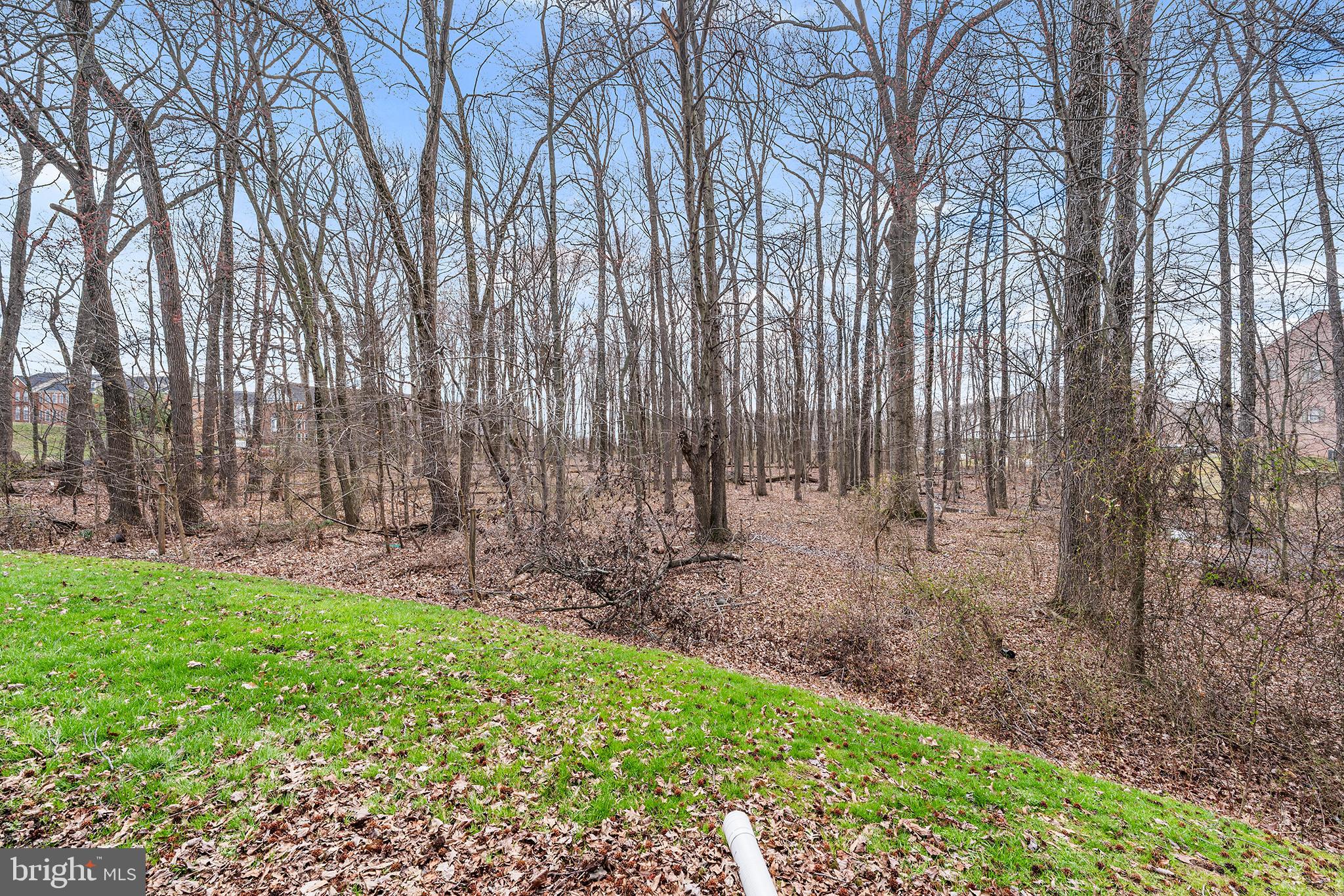 PERRY HALL FARMS - Residential