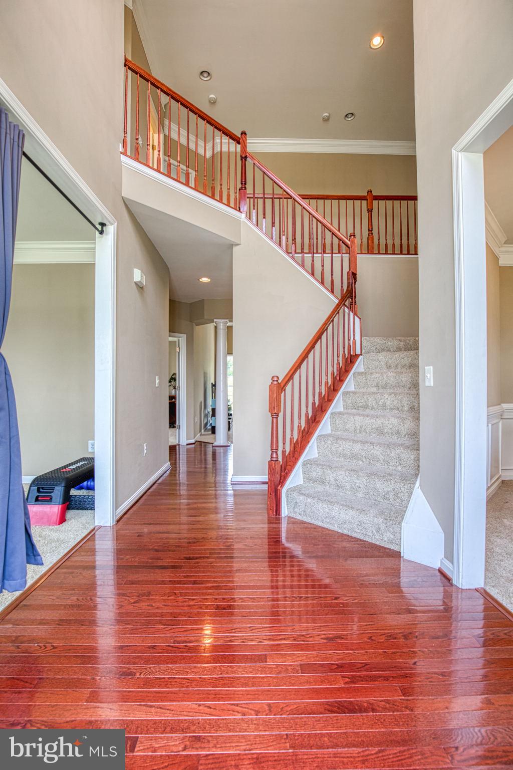 LEELAND STATION - Residential