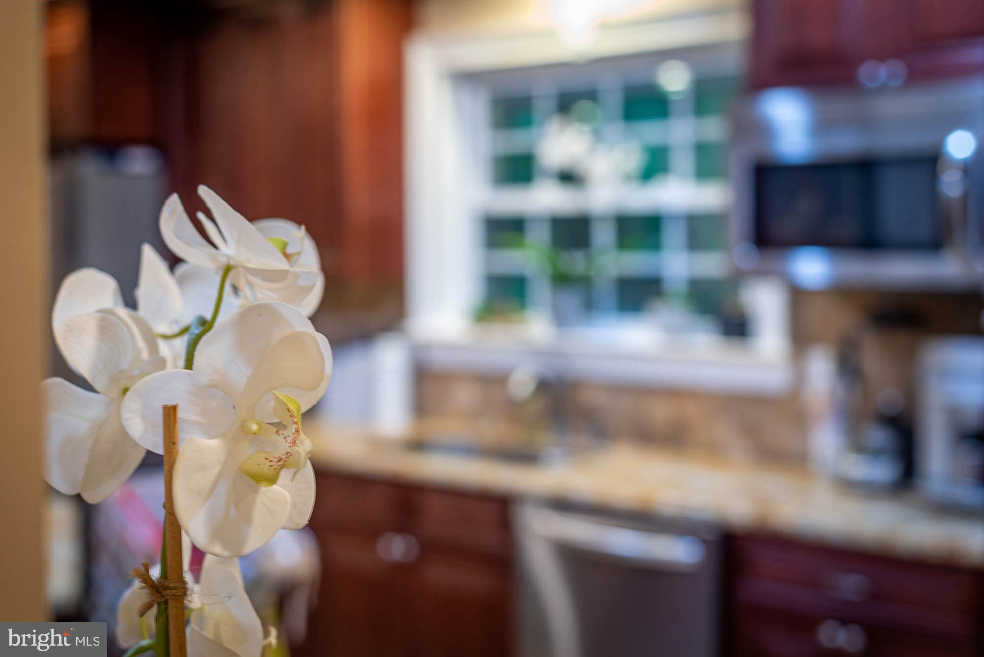 VELVET VALLEY - Residential