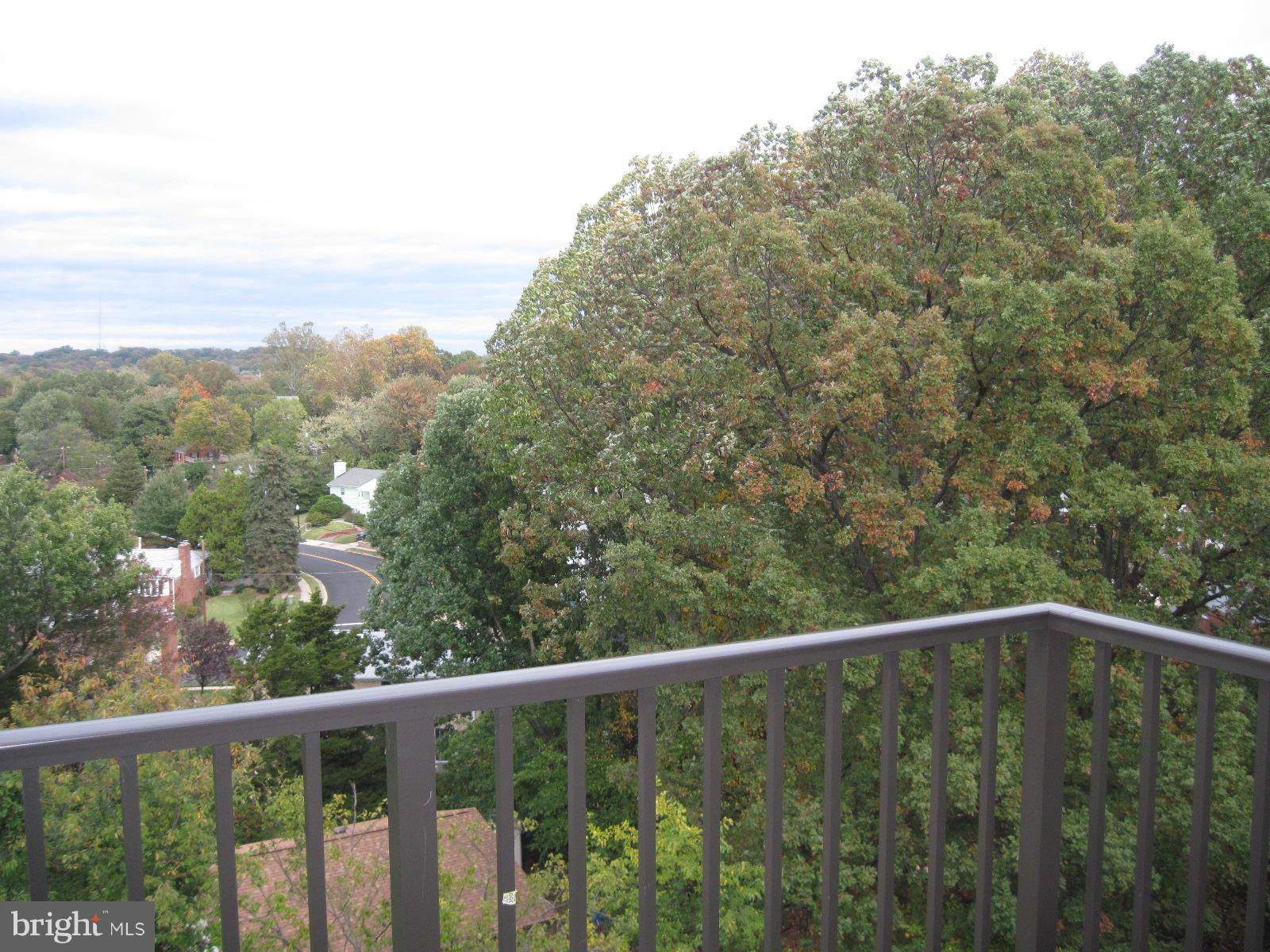 MADISON CONDOMINIUM - Residential Lease