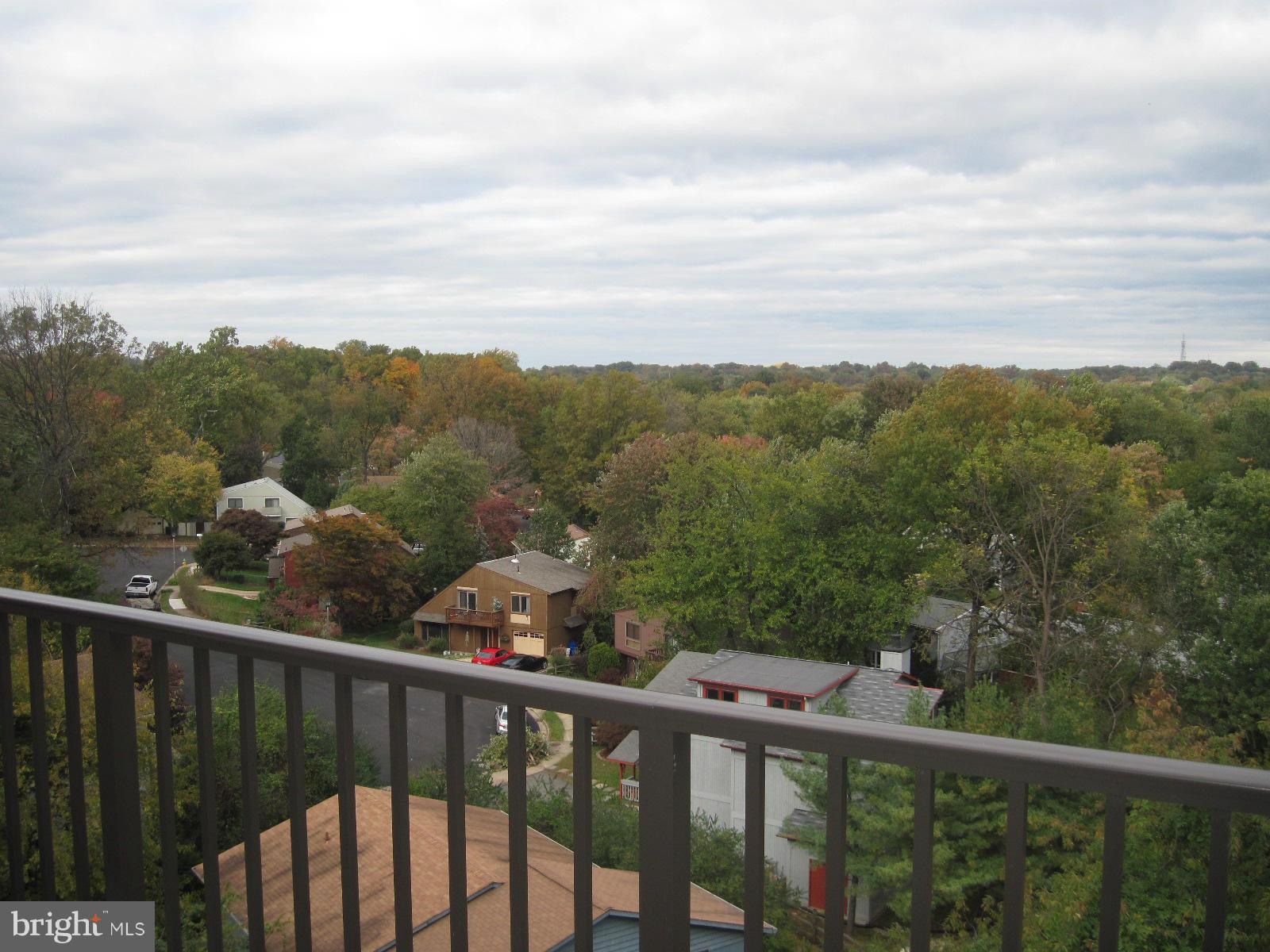 MADISON CONDOMINIUM - Residential Lease