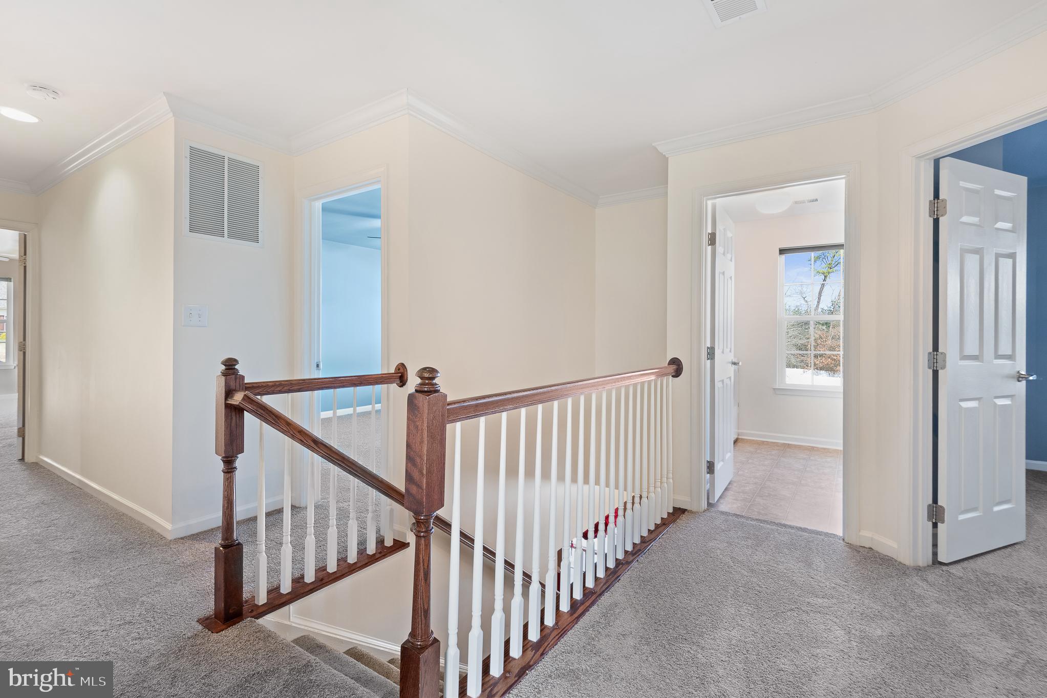 WILLOW WOODS - Residential