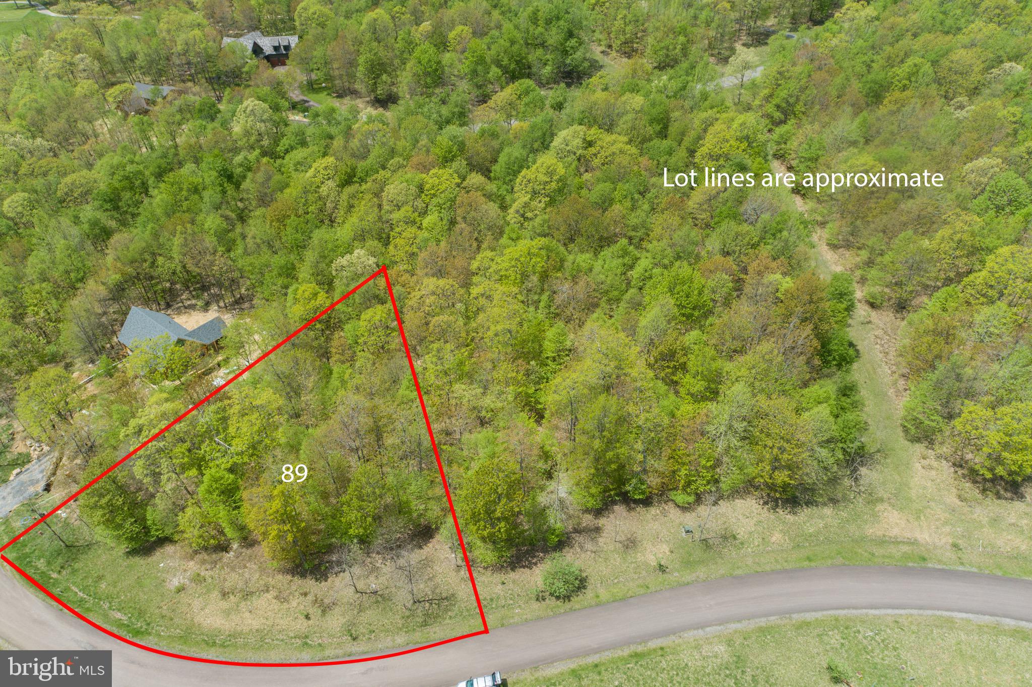 Can't find the right house? Buy and build exactly what you want! Lot 89 is only five minutes to the WISP, Deep Creek Lake, Lodestone Golf Course and Fork Run; you're located in the heart of everything. All public utilities available and $6500 sewer tap fee conveys. The only thing this property is missing is your dream home. Call today for more details!