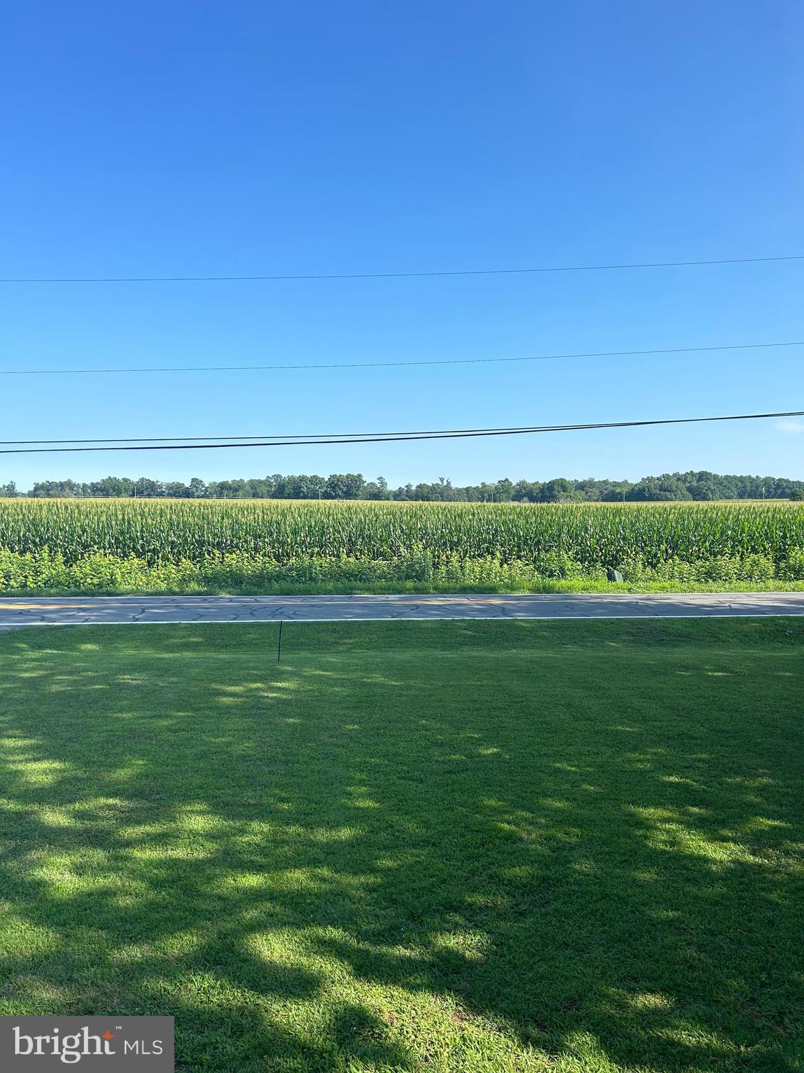 3949 LEIPSIC ROAD