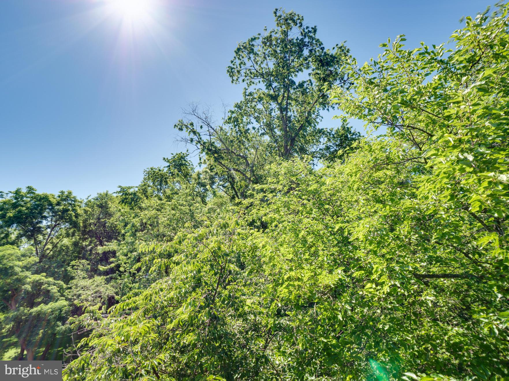 BOLLING BROOK - Residential