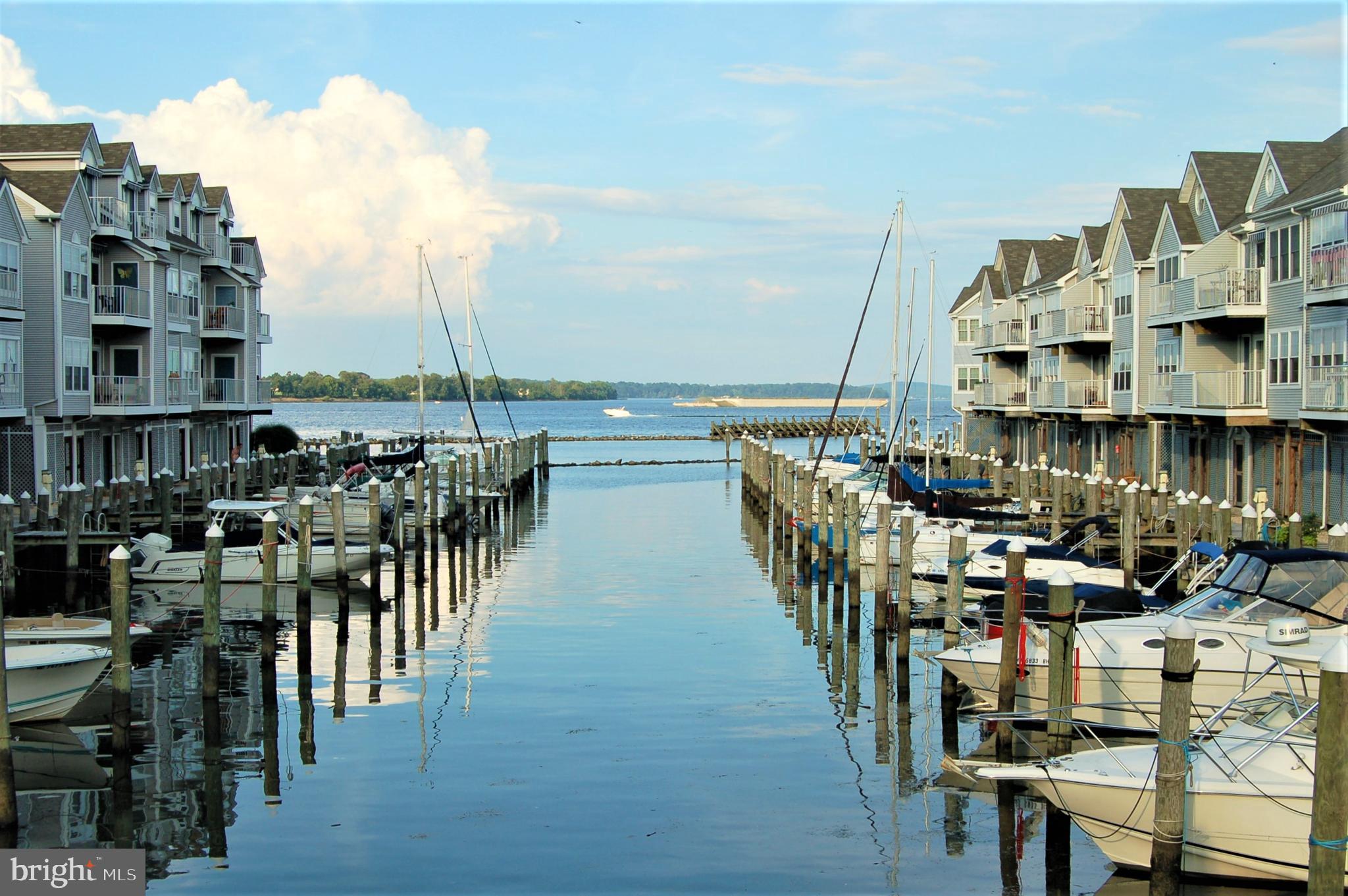 CANVASBACK COVE - Residential