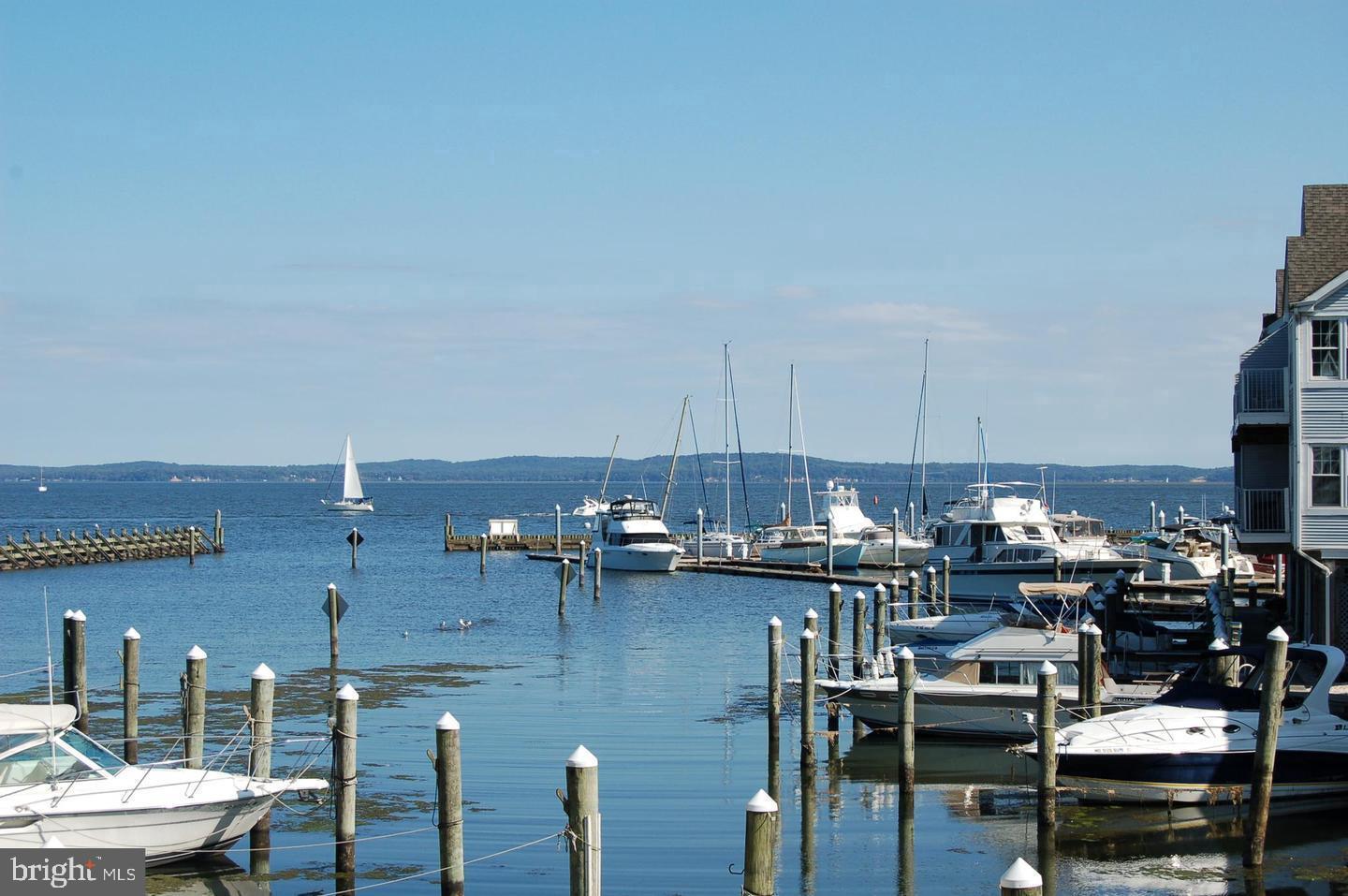 CANVASBACK COVE - Residential