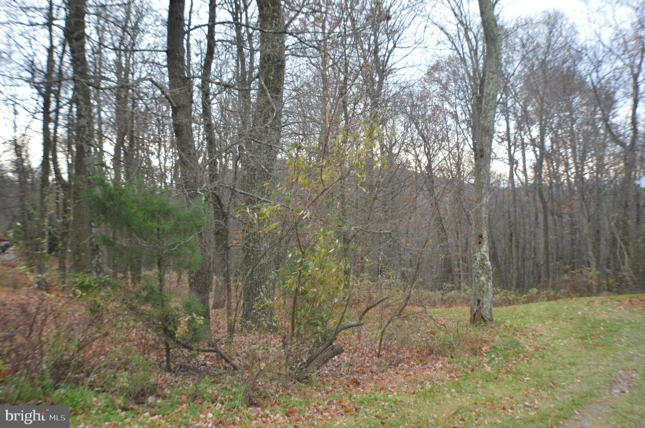 COOPER RIDGE ESTATES - Residential