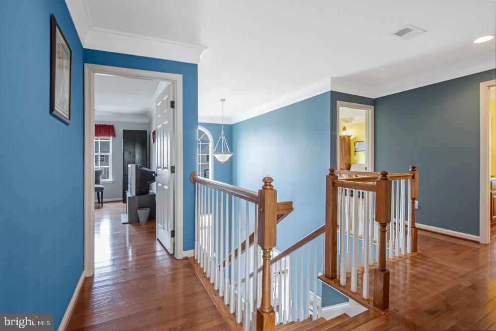 HAZEL FARM - Residential