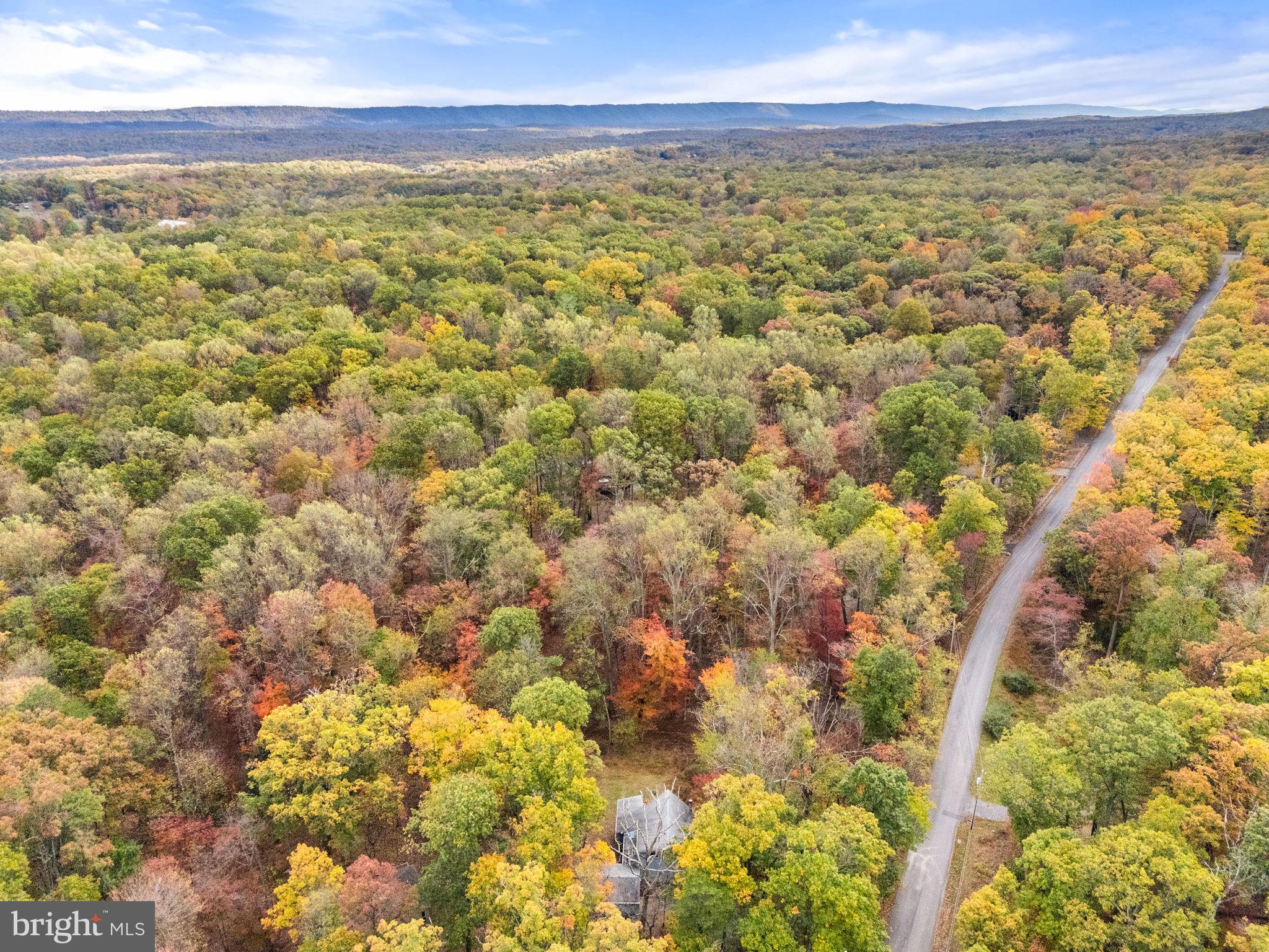 THE WOODS - Residential