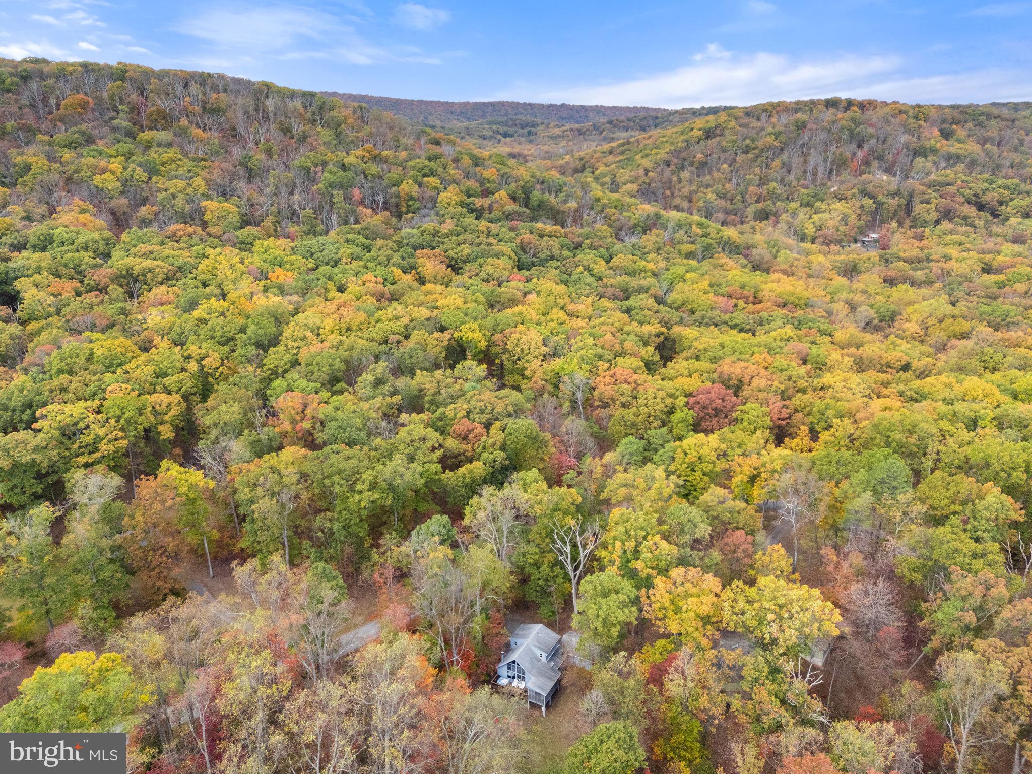 THE WOODS - Residential