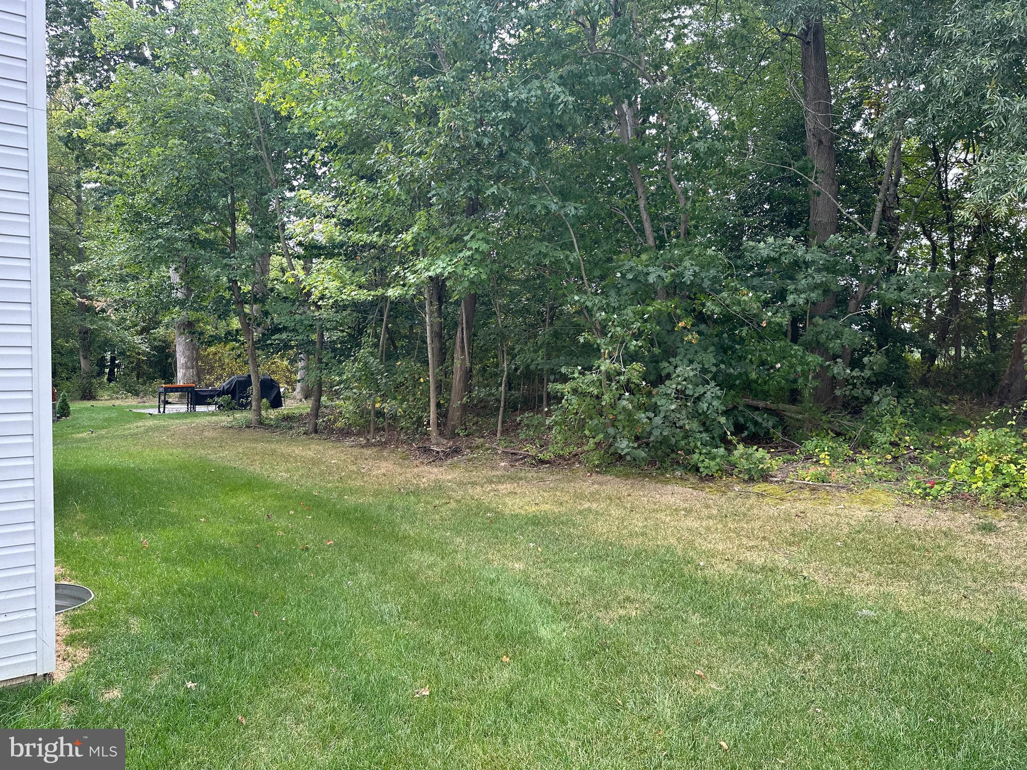 PINES AT CHERRY HILL - Residential