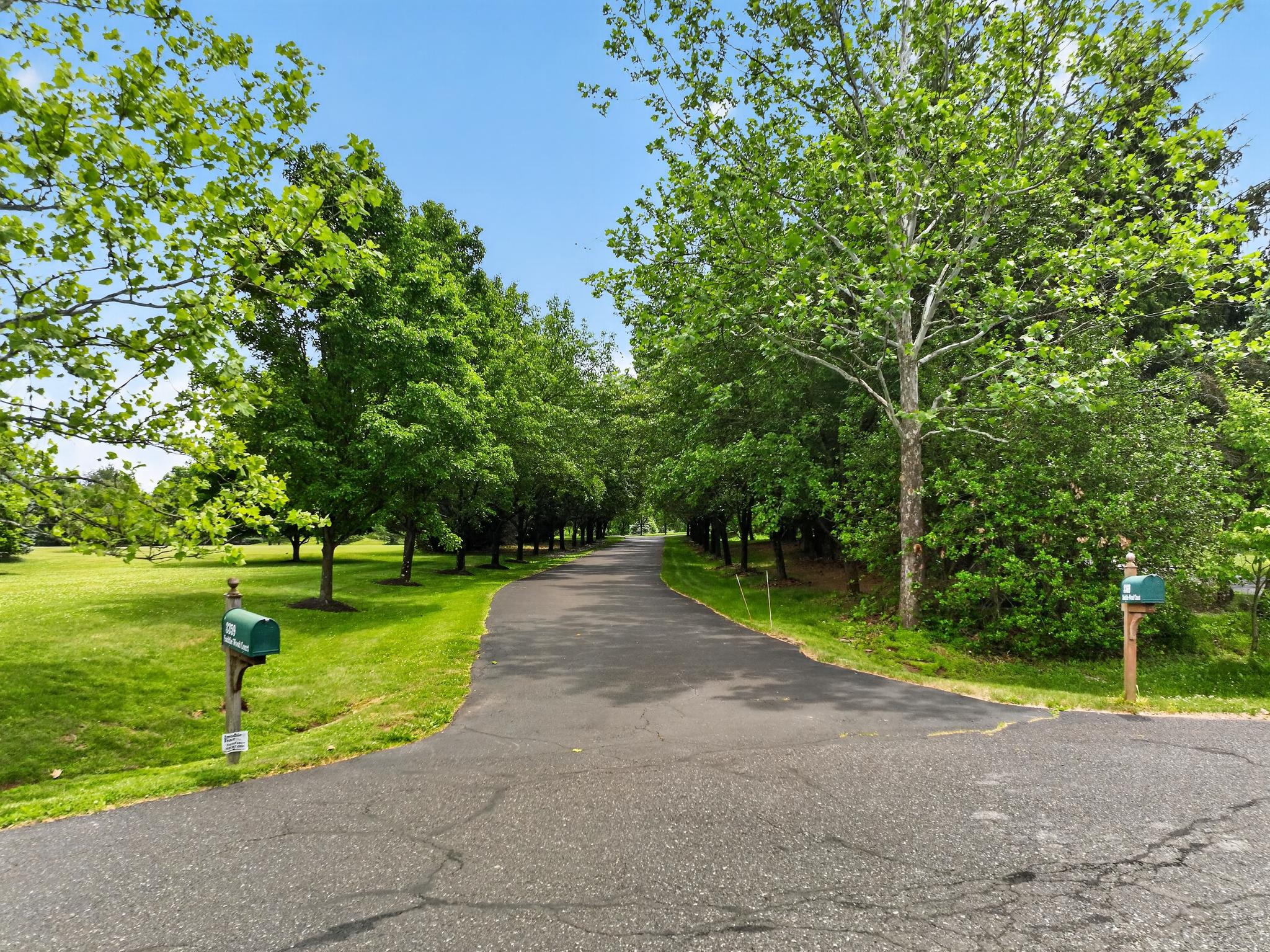 3369 SADDLE WOOD COURT