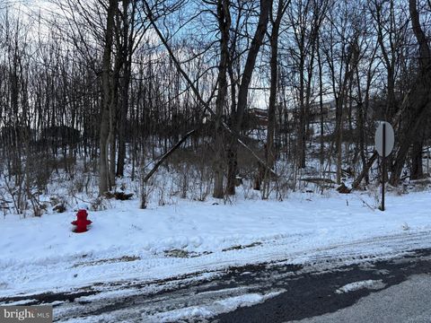 NEW YORK AVENUE LAVALE MD 21502