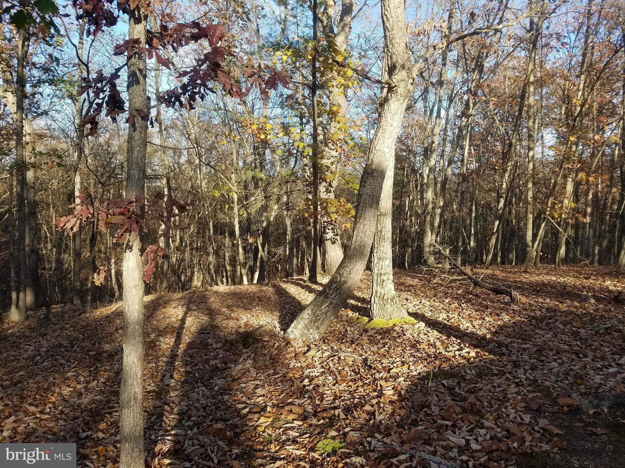 CRYSTAL VALLEY ESTATES - Land