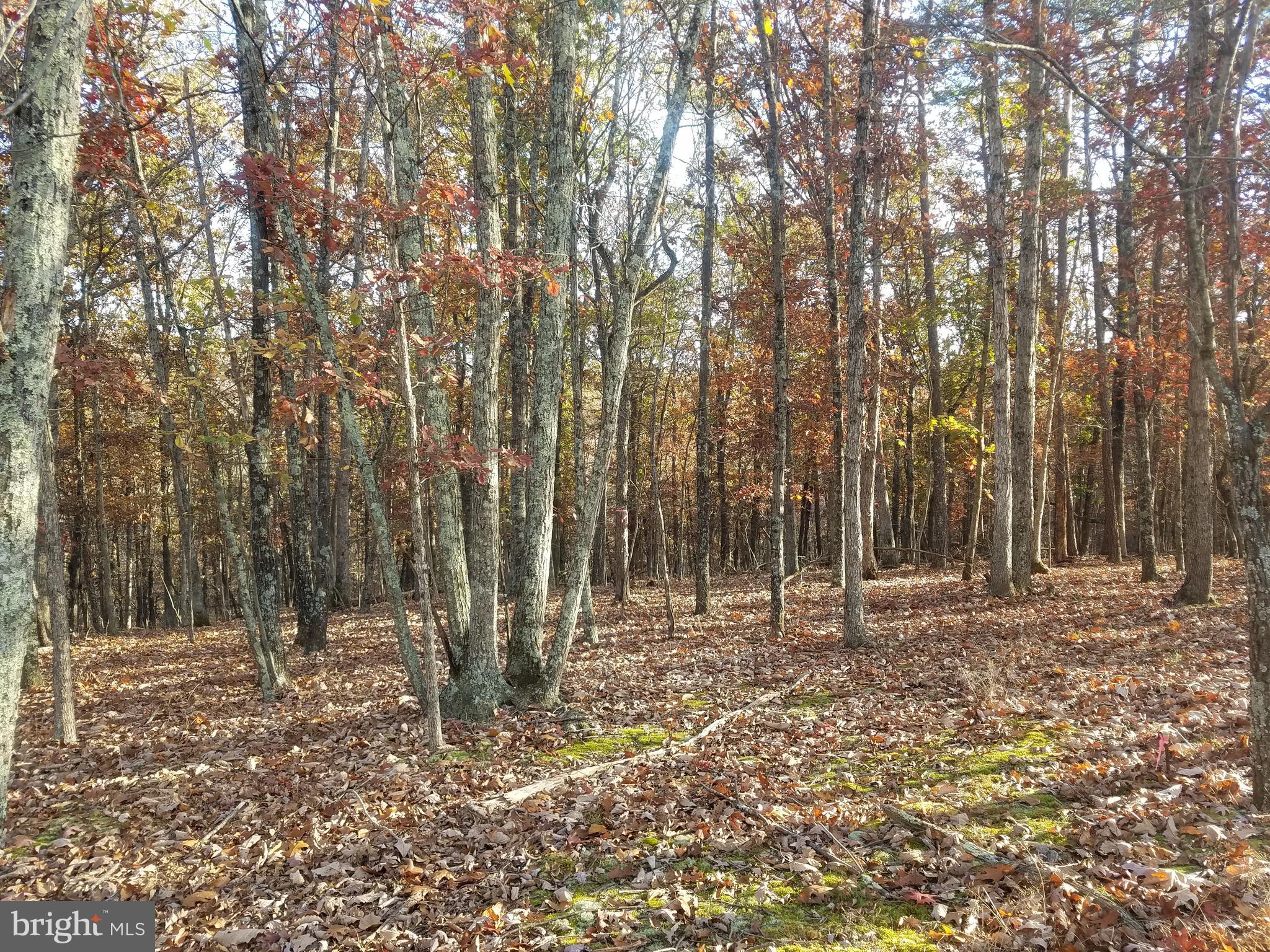 CRYSTAL VALLEY ESTATES - Land