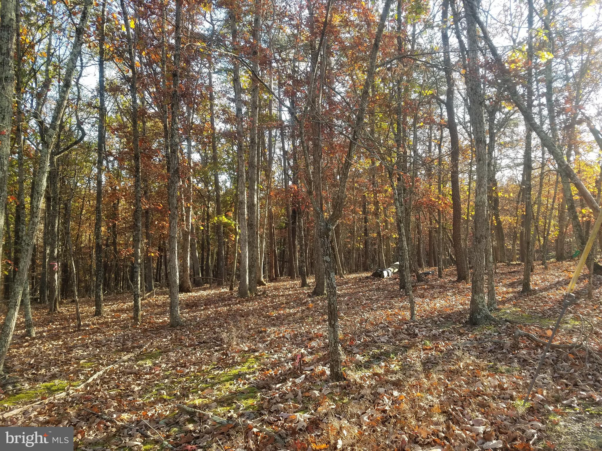 CRYSTAL VALLEY ESTATES - Land