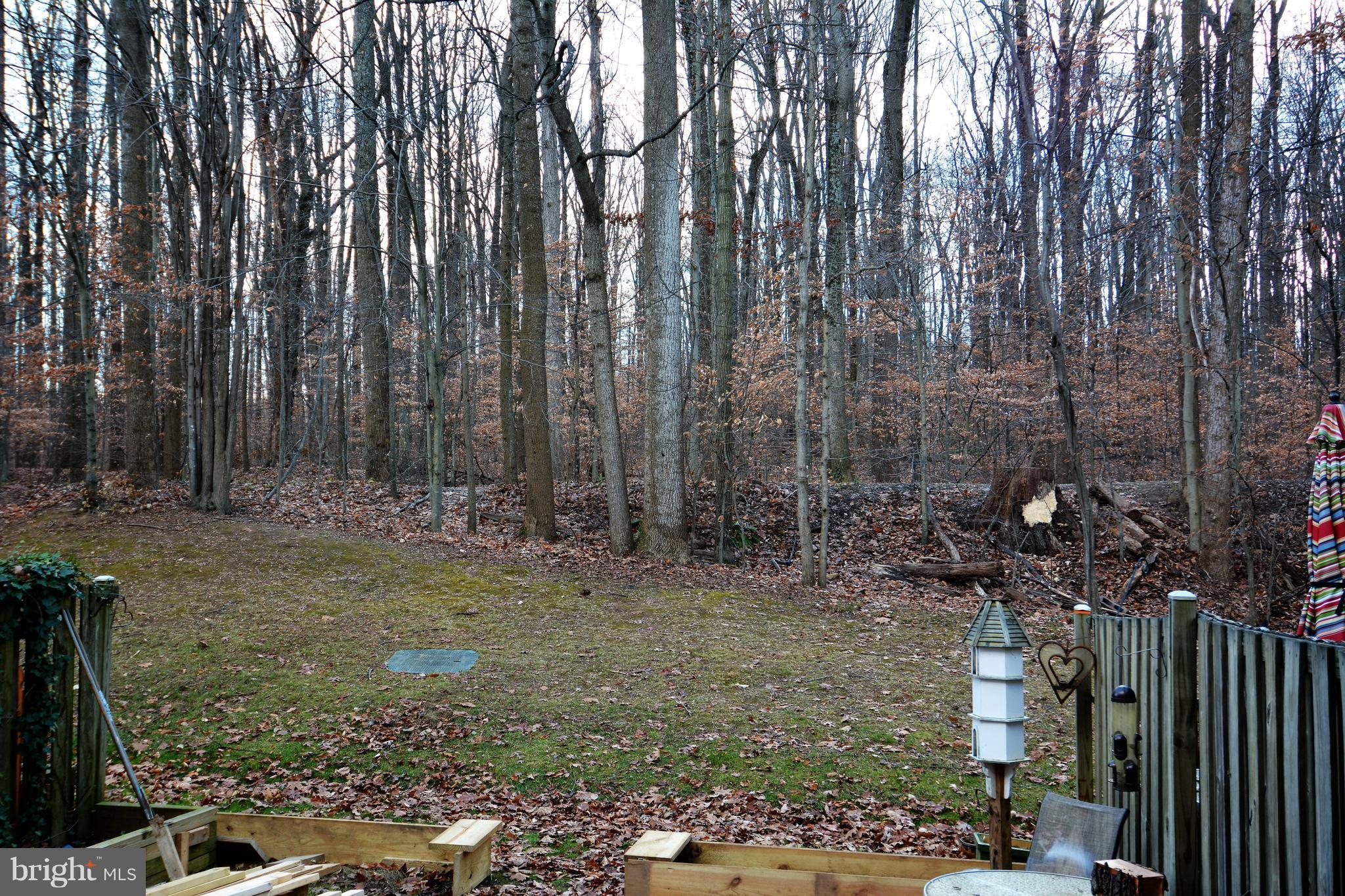 DANBURY FOREST - Residential