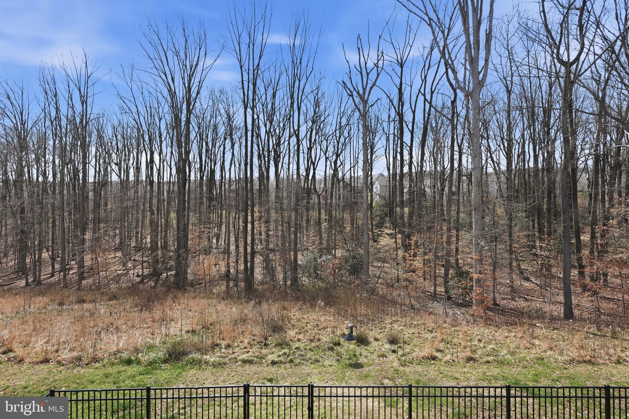 POTOMAC SHORES - Residential