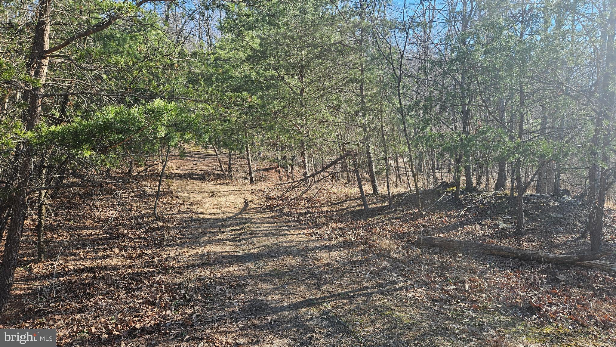 00 TIGER VALLEY ROAD