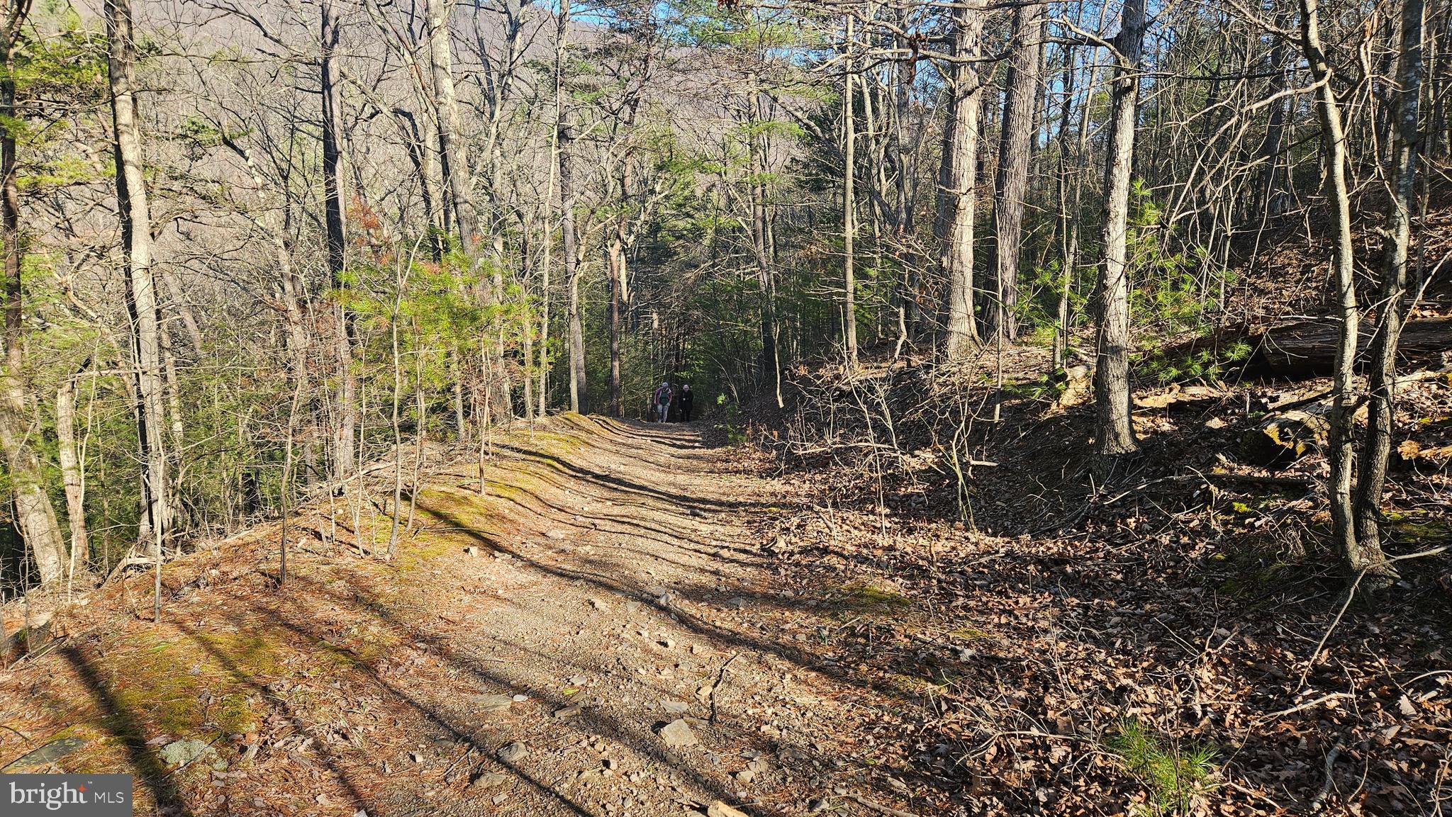 00 TIGER VALLEY ROAD
