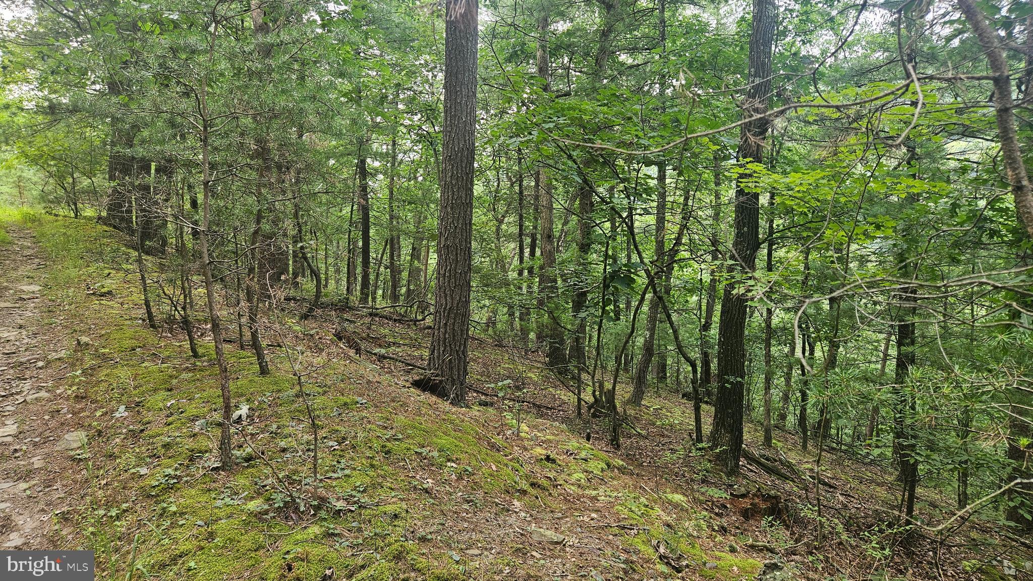 00 TIGER VALLEY ROAD
