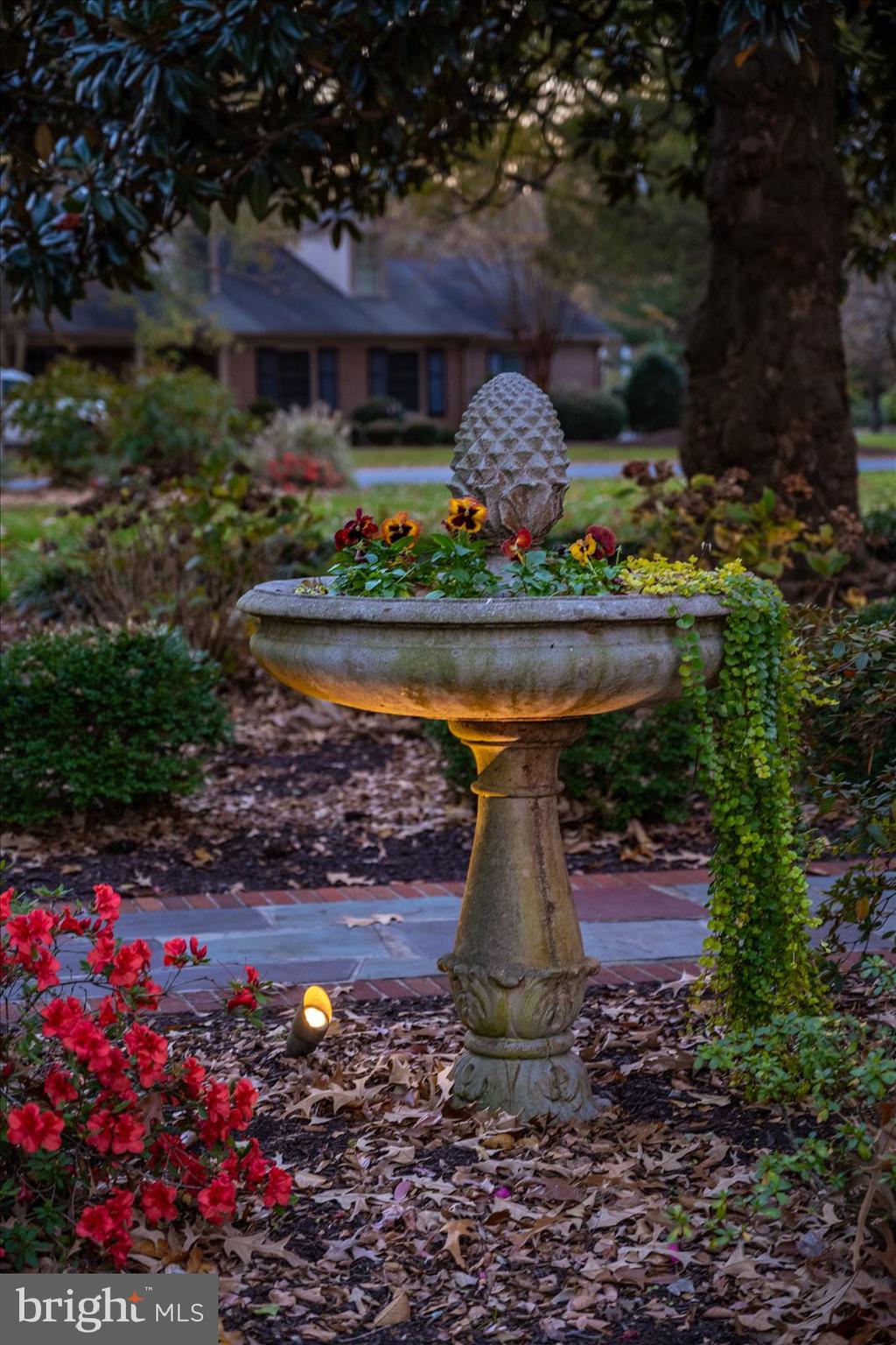 TONY TANK - Residential