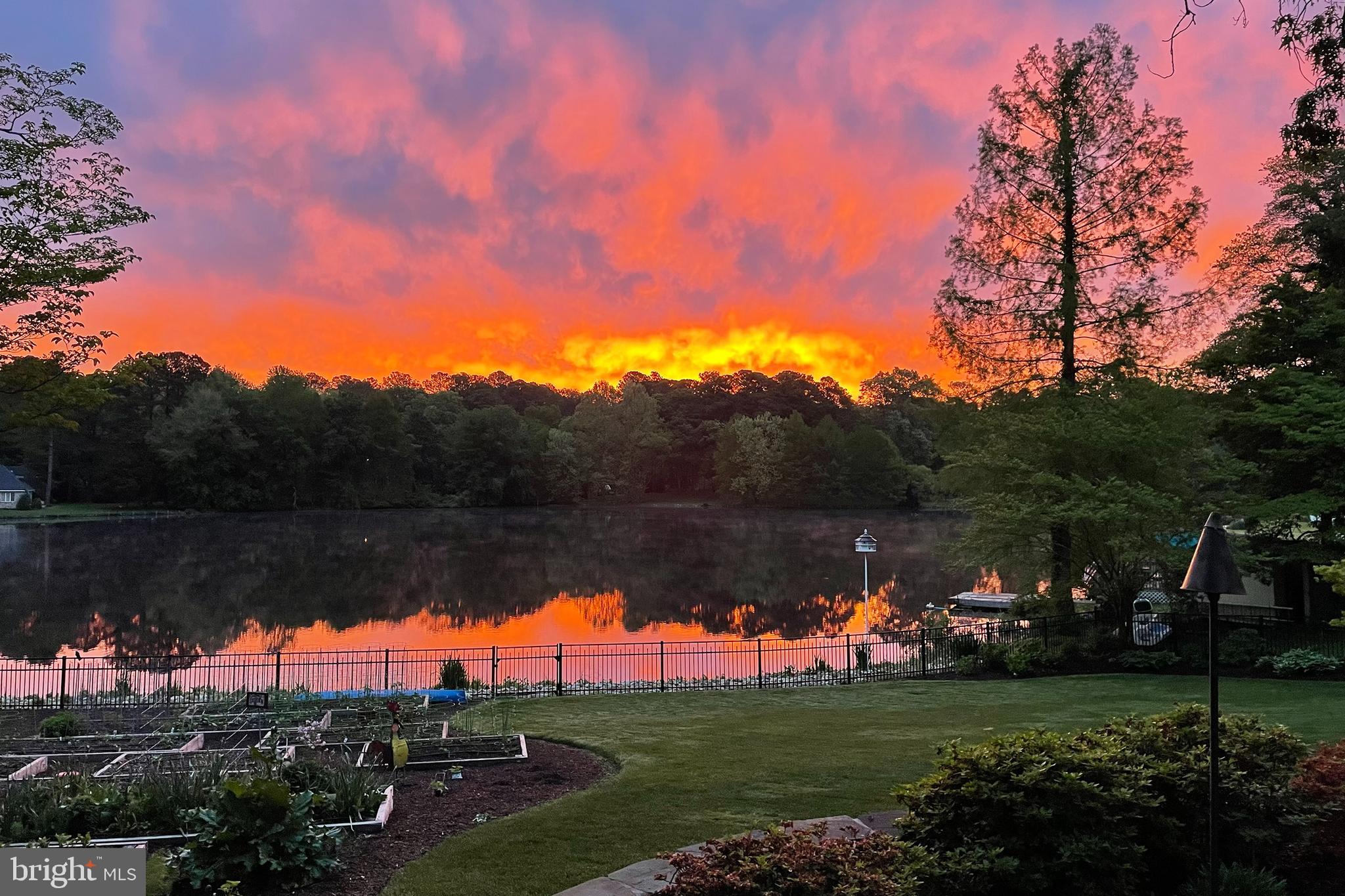 TONY TANK - Residential