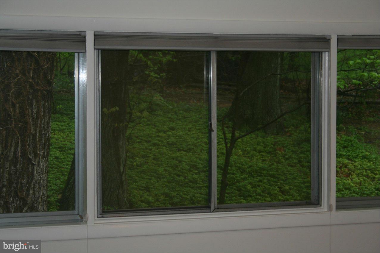 DOGWOOD HILL - Residential Lease