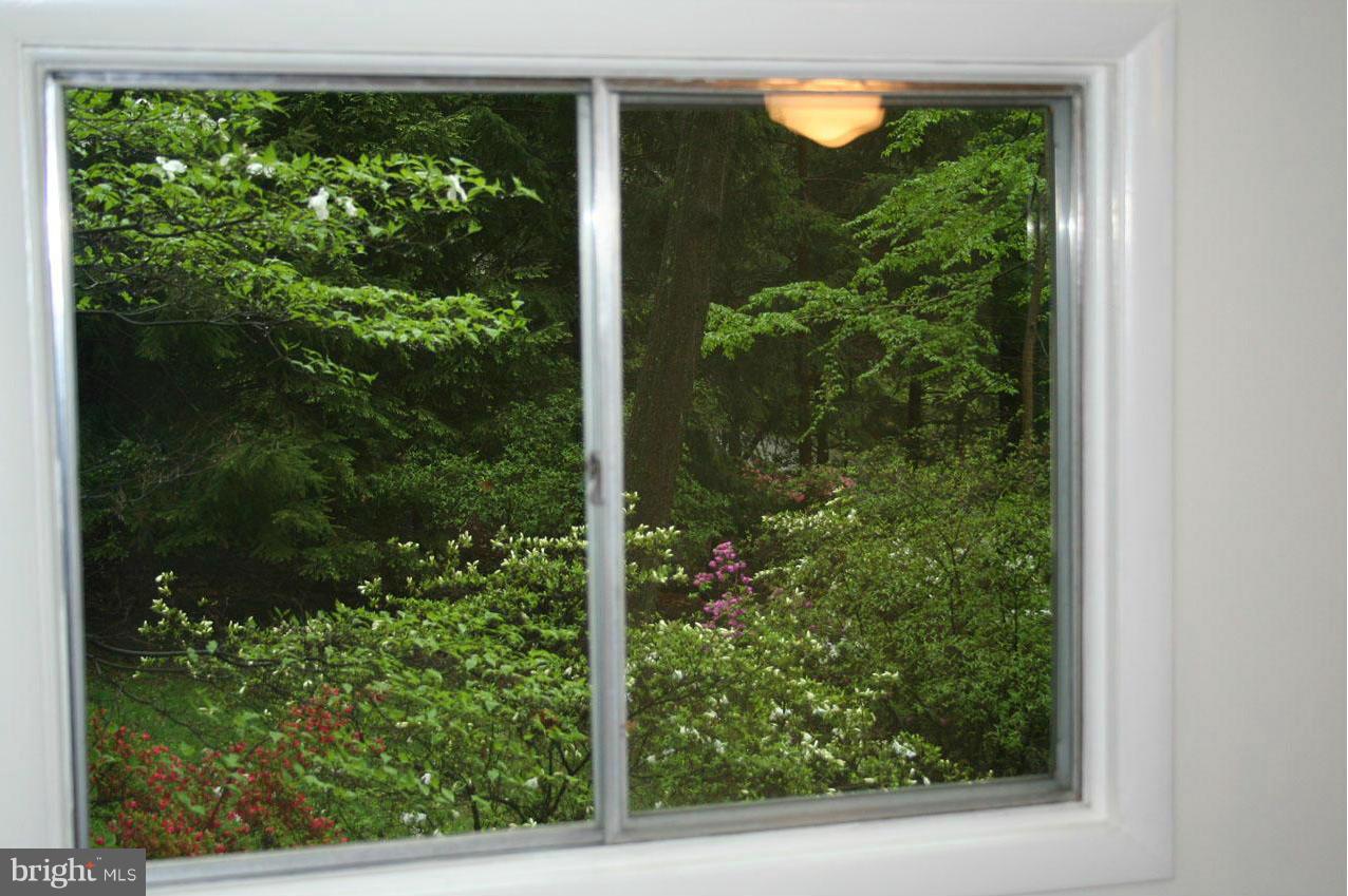 DOGWOOD HILL - Residential Lease