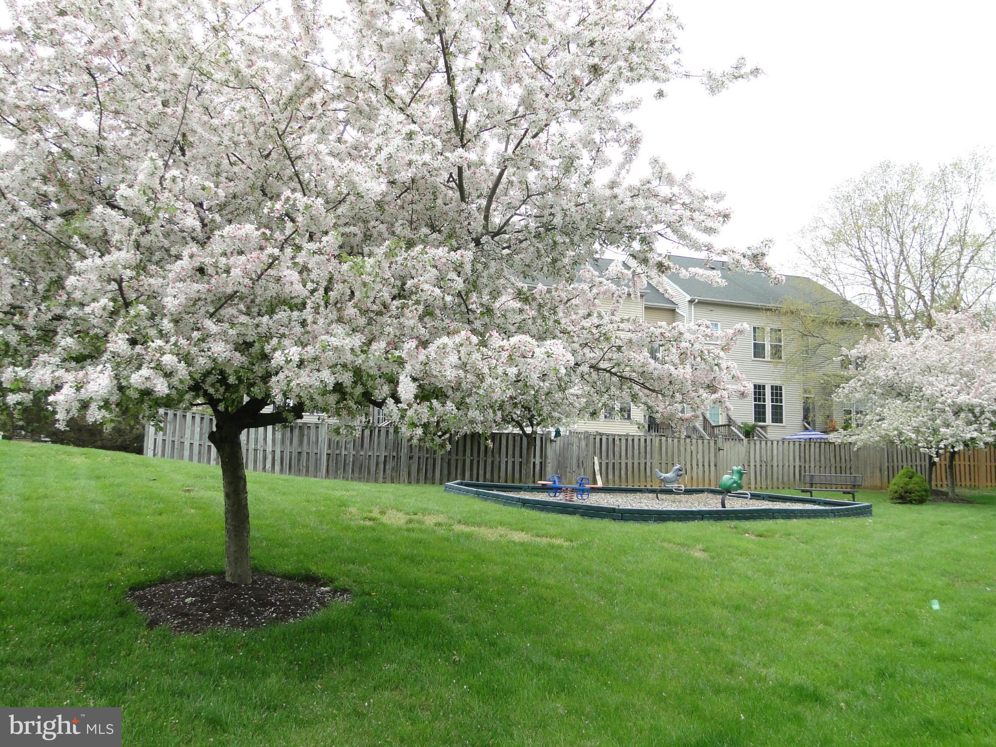 BALLENGER CROSSING - Residential Lease