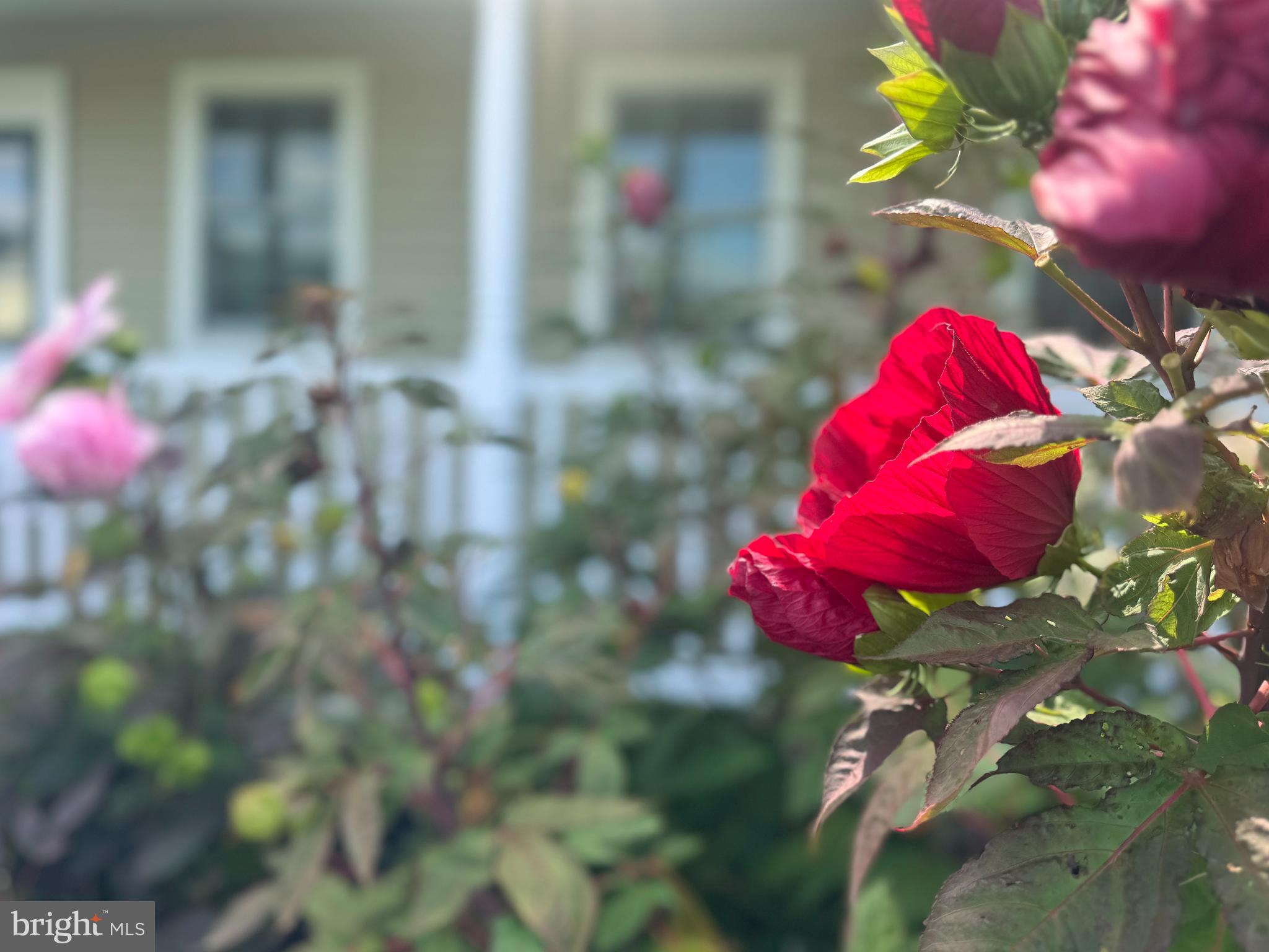 GLEN ACRES - Residential